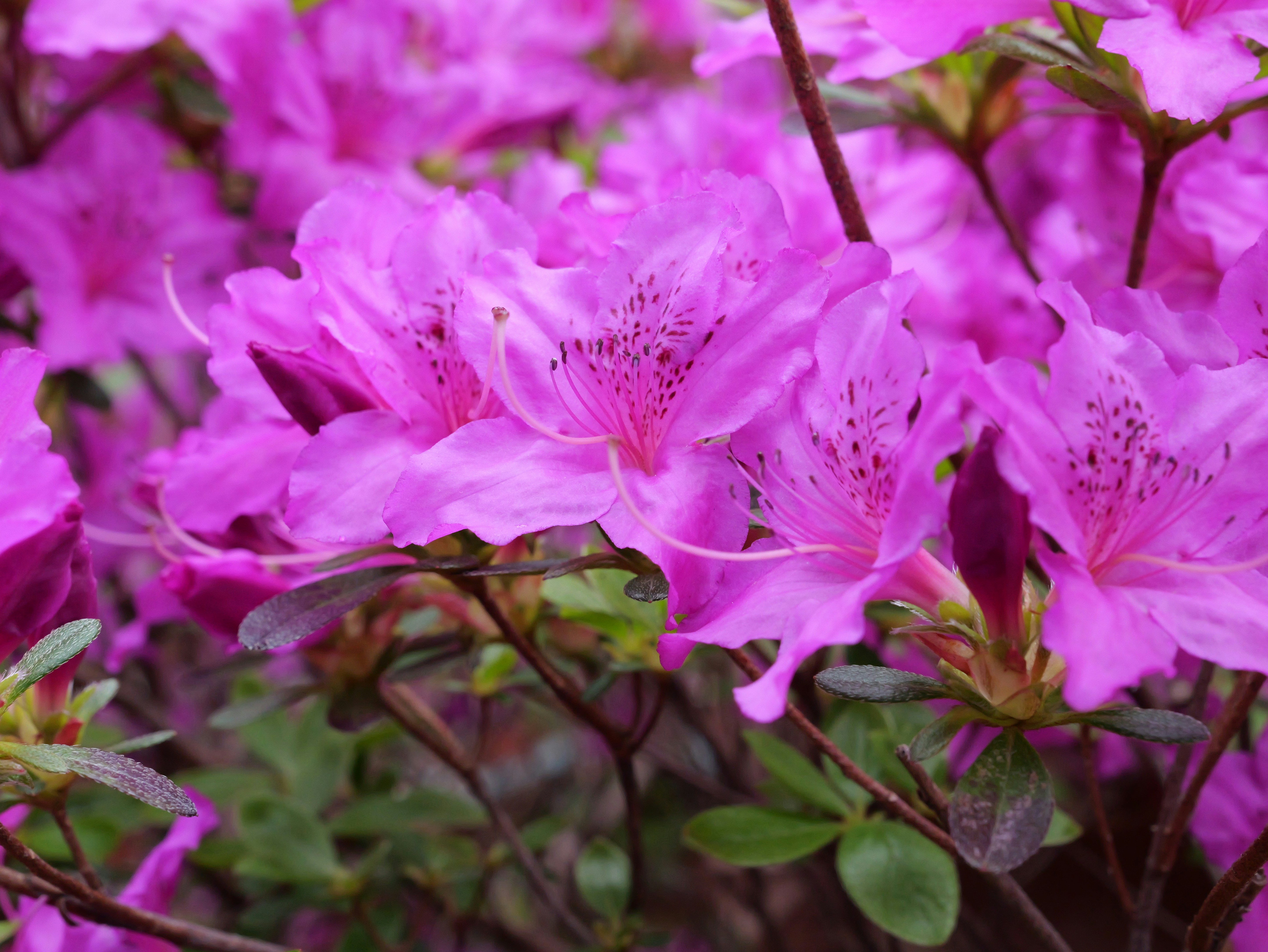 Photo by karonthompson