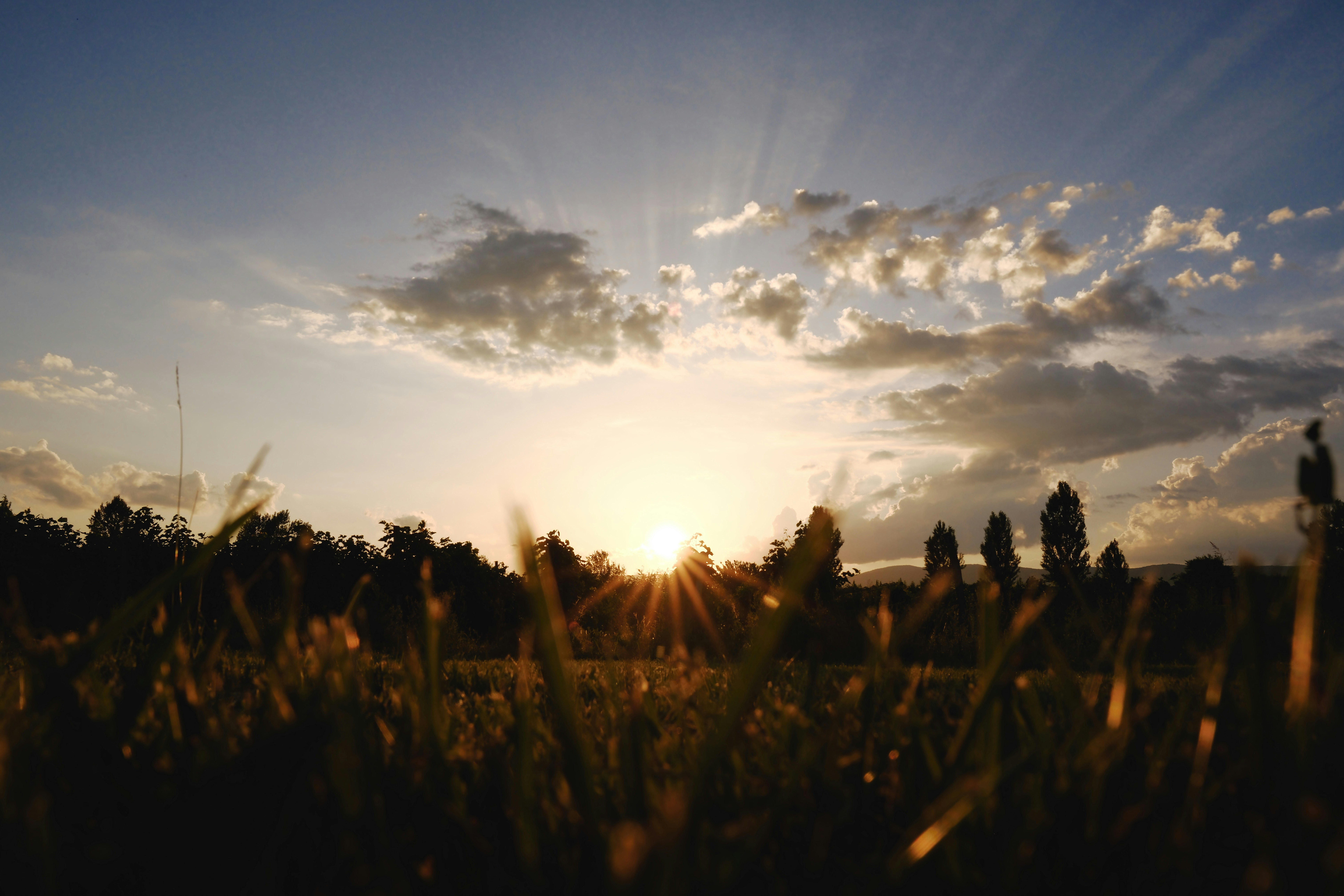 Photo by mrparalloid