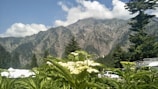 A scenic view of a mountain range with trees in the foreground