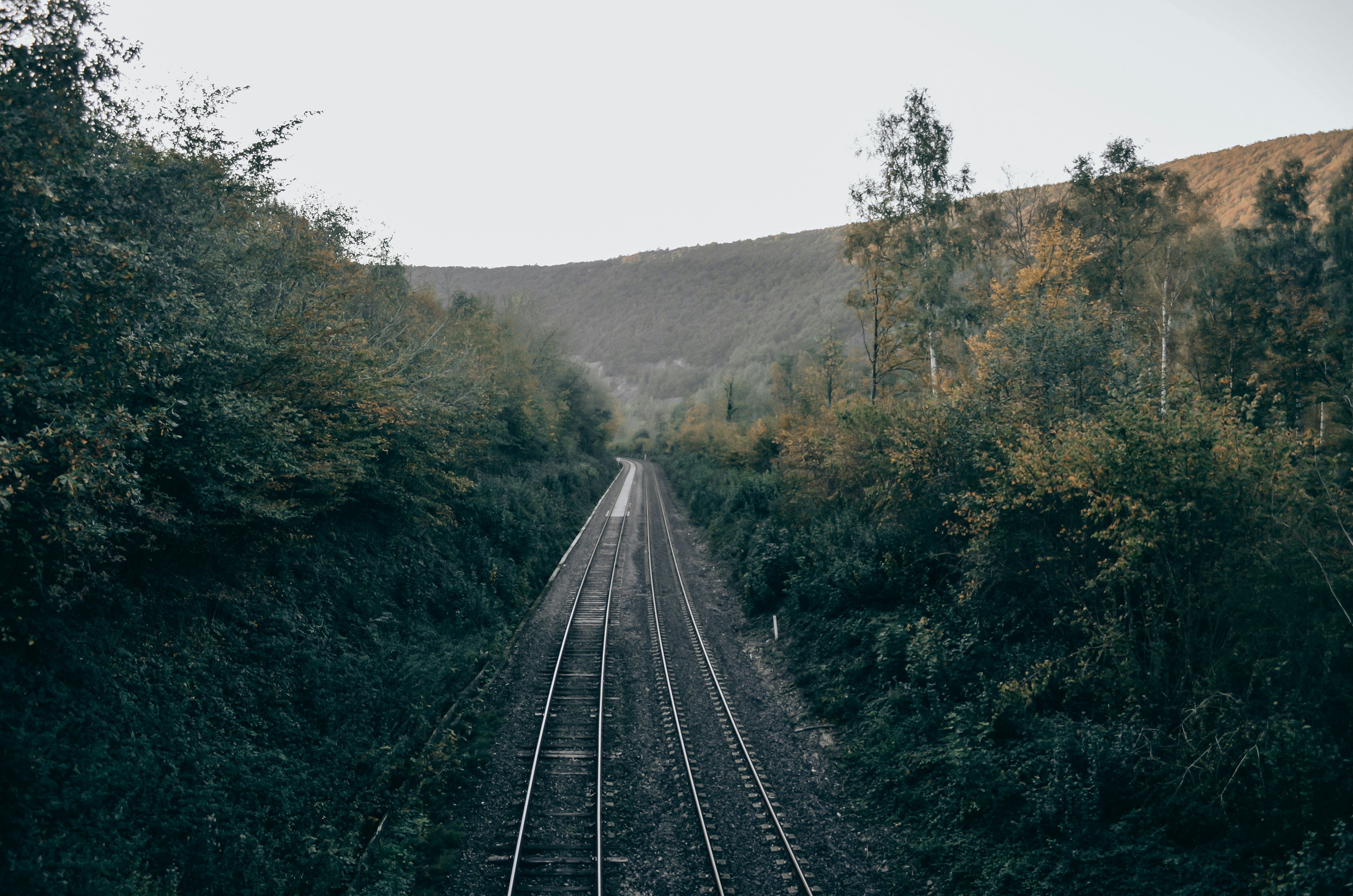 Photo by hassananayi