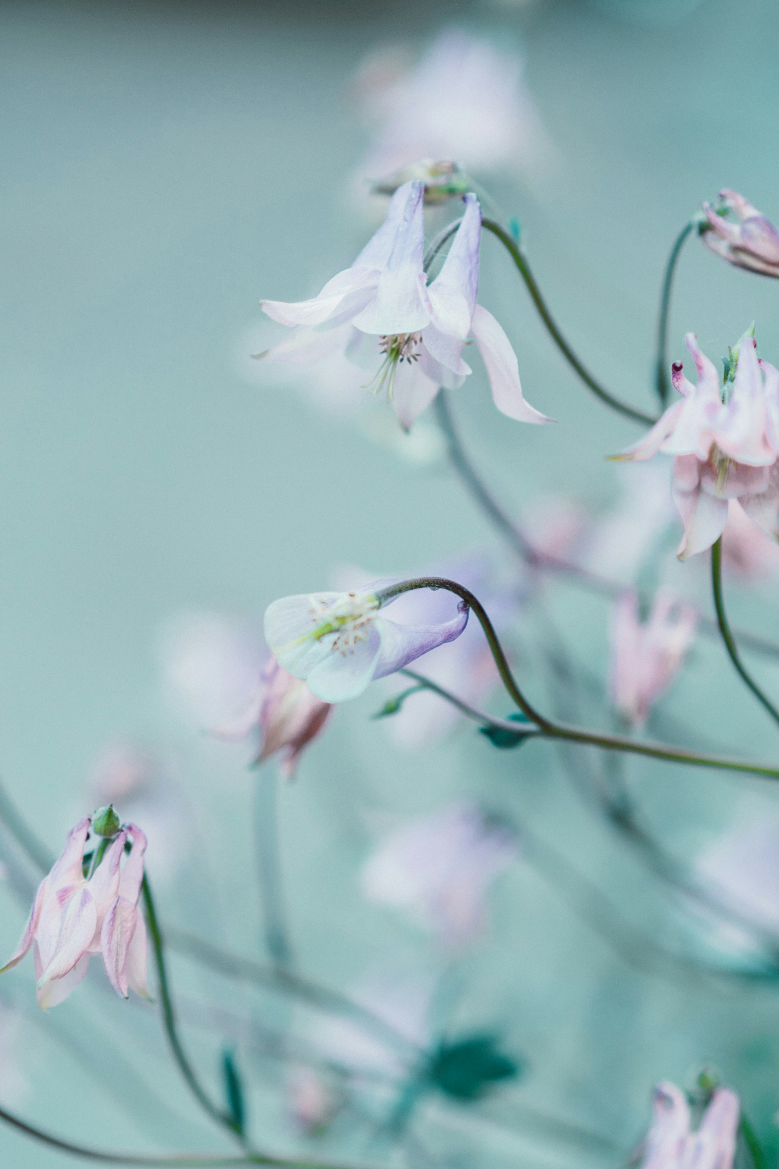 Photo by anamnesis33