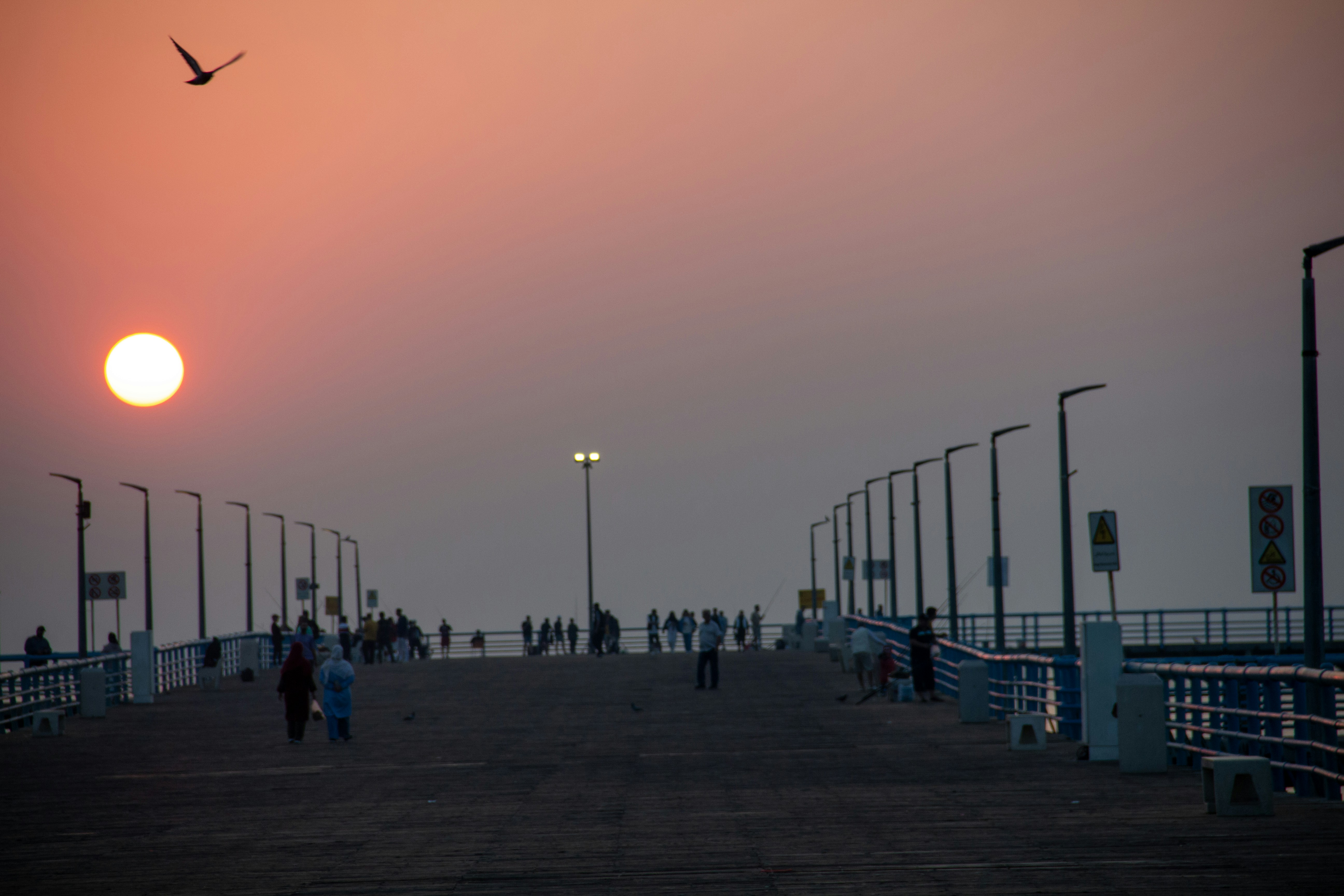 Photo by mahdiderakhshani