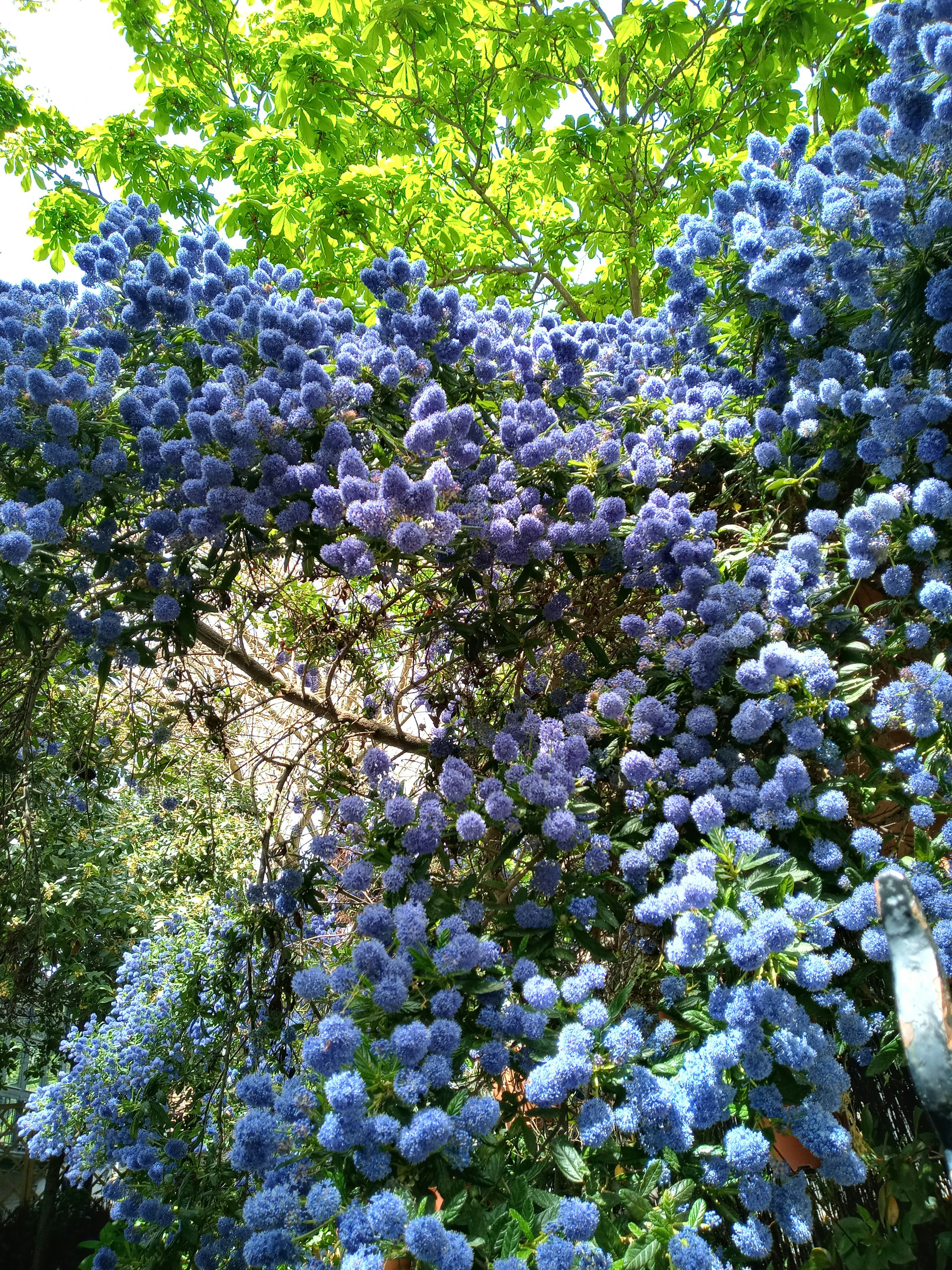 Photo by analanguagecoach