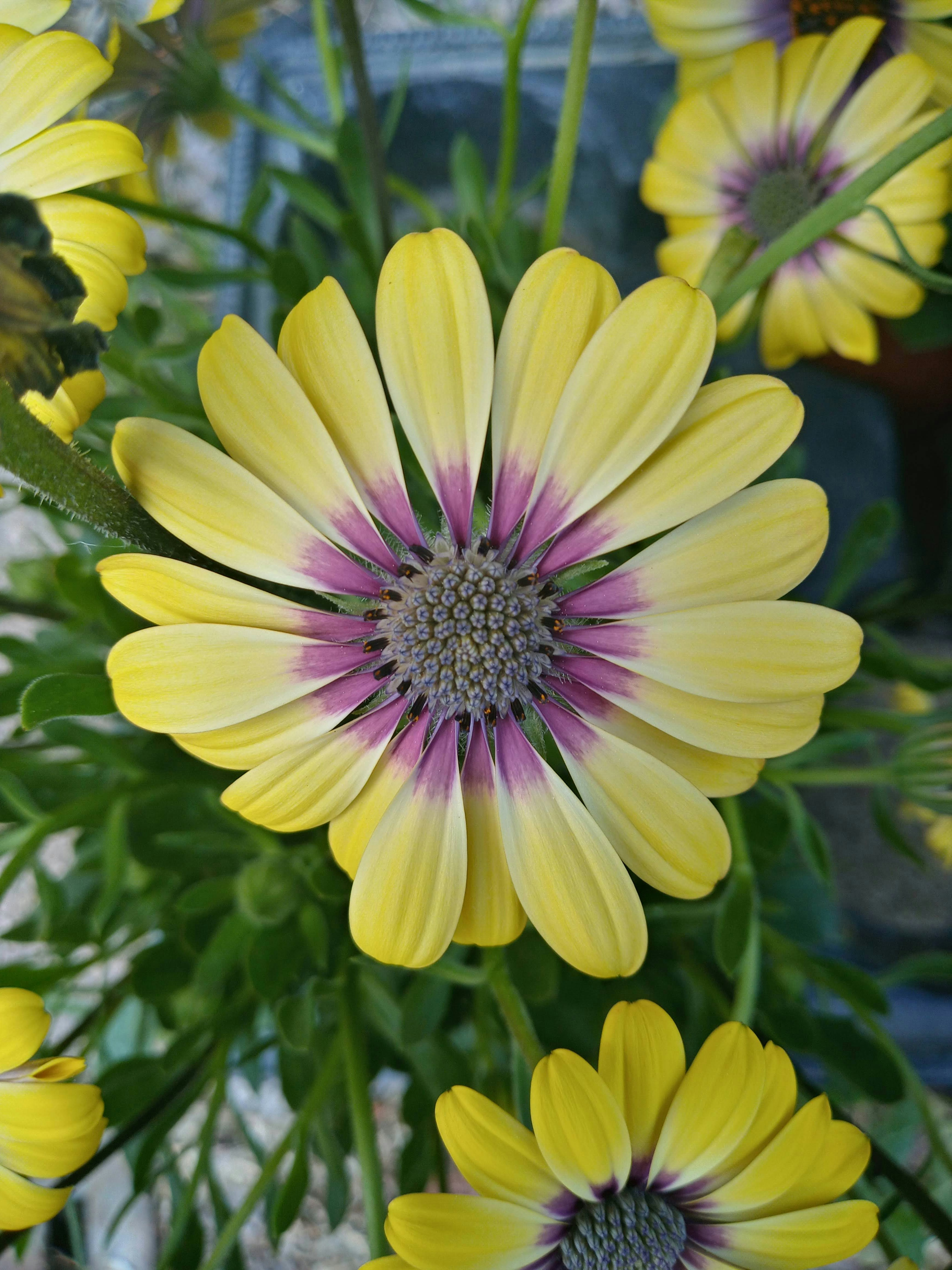 Photo by analanguagecoach