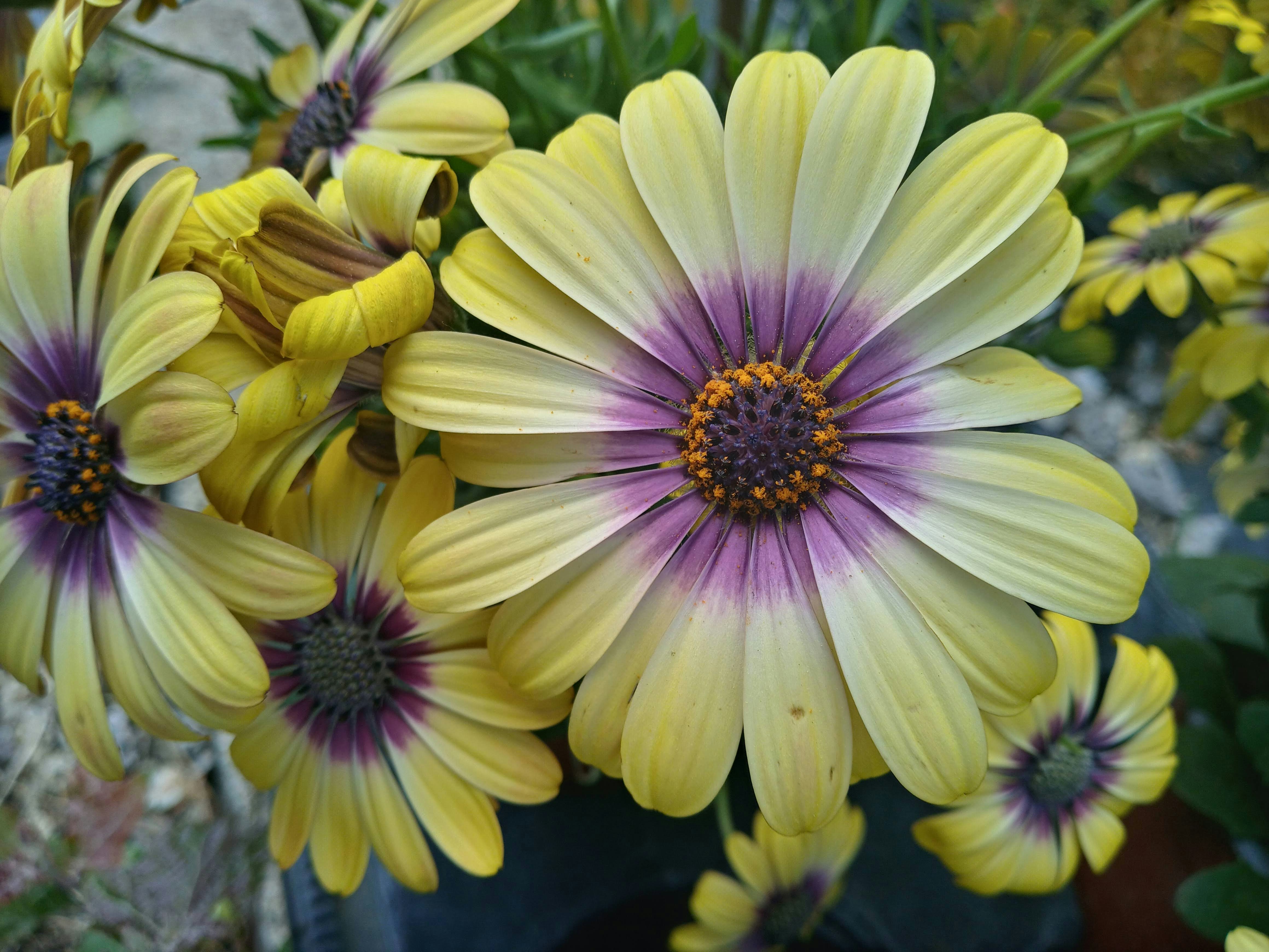 Photo by analanguagecoach