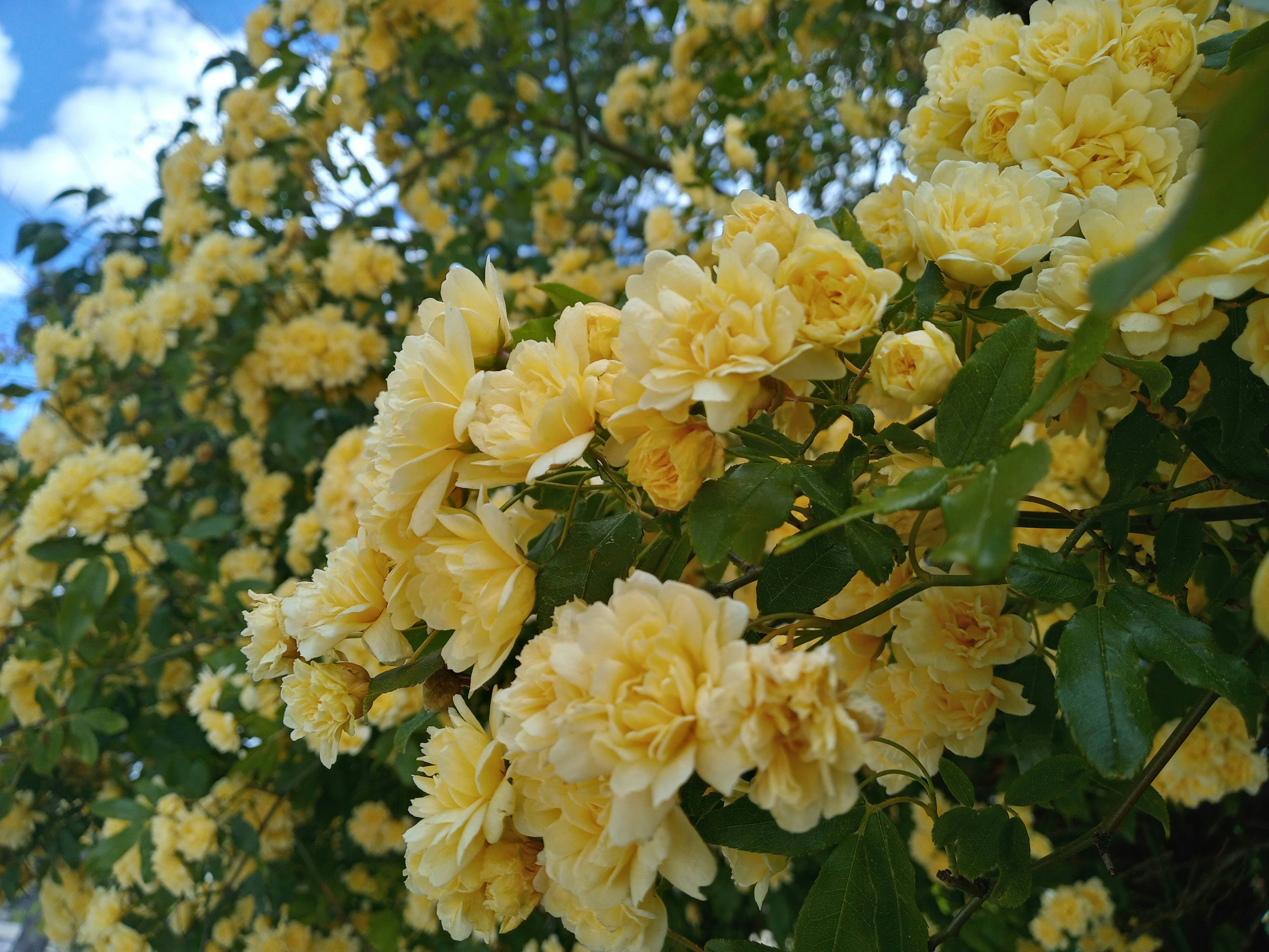 Photo by analanguagecoach