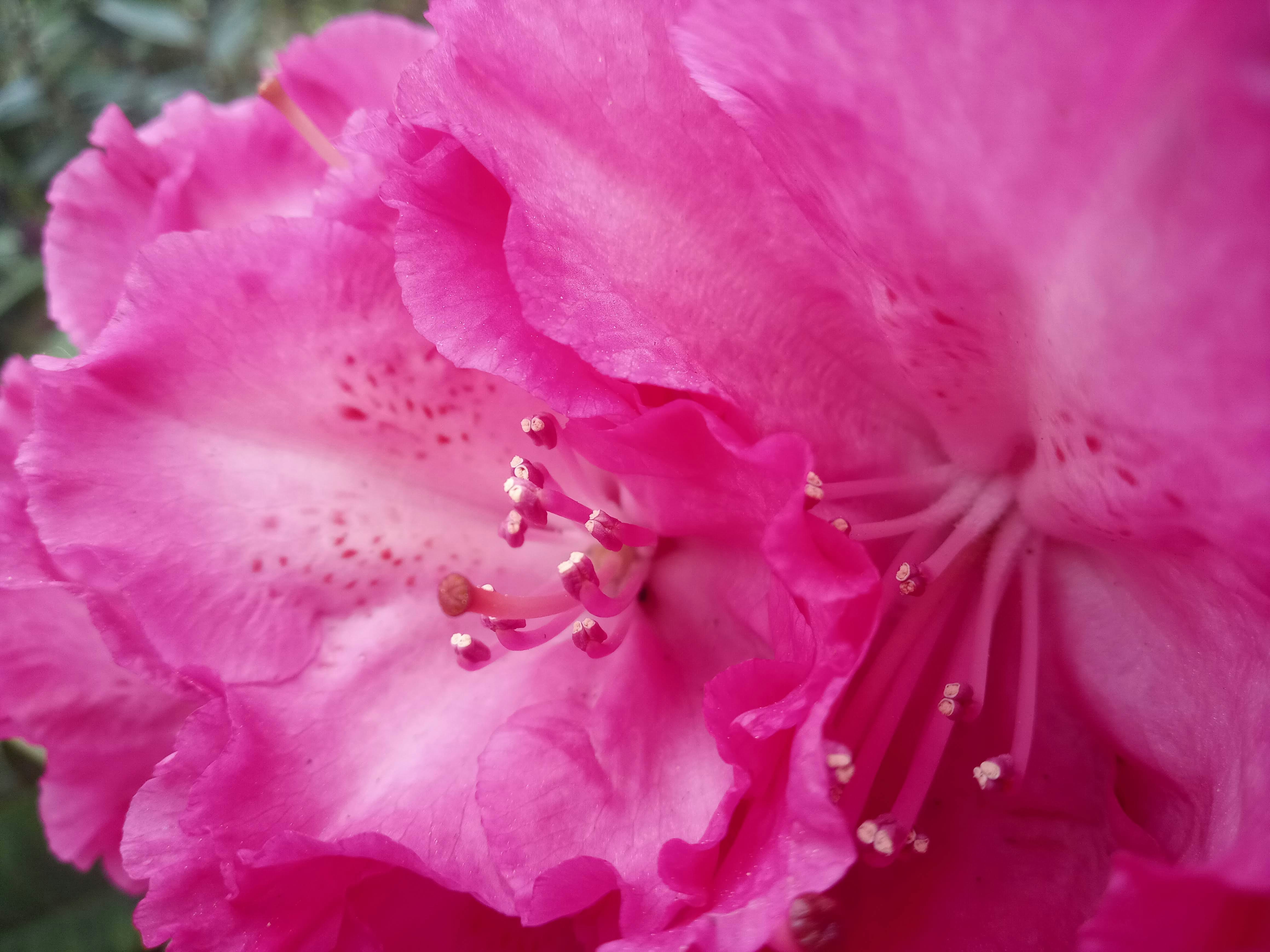 Photo by analanguagecoach