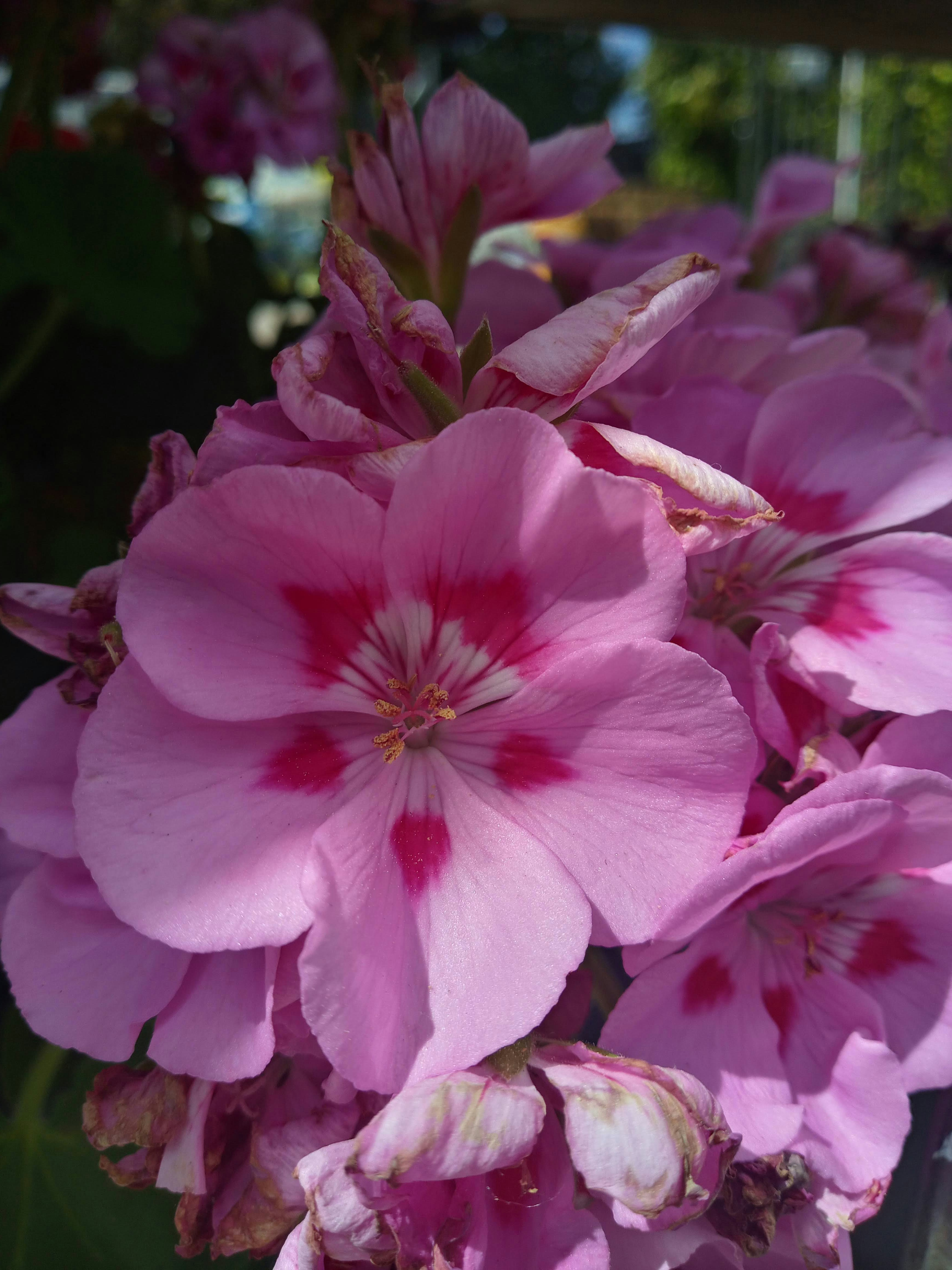 Photo by analanguagecoach