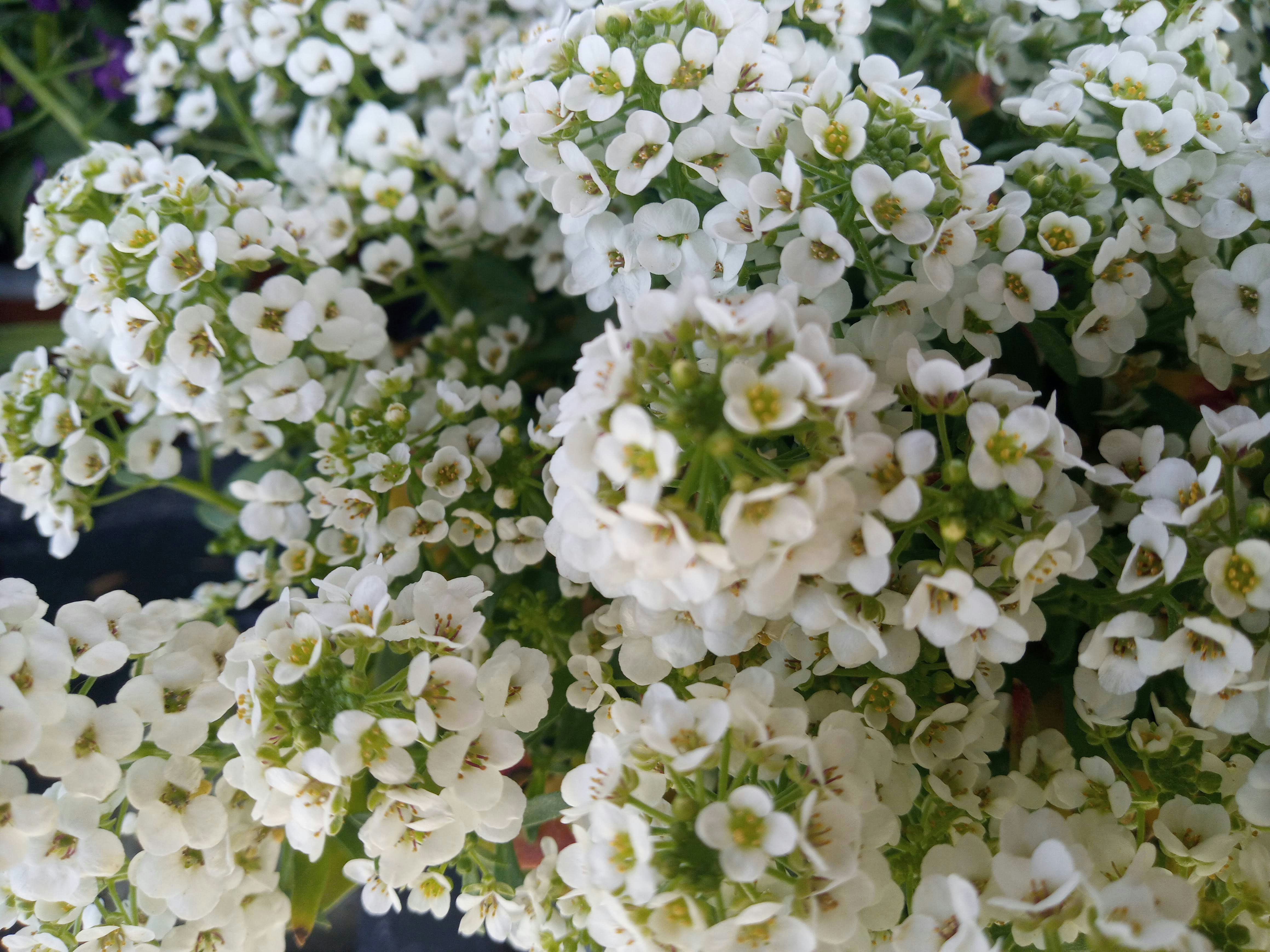 Photo by analanguagecoach