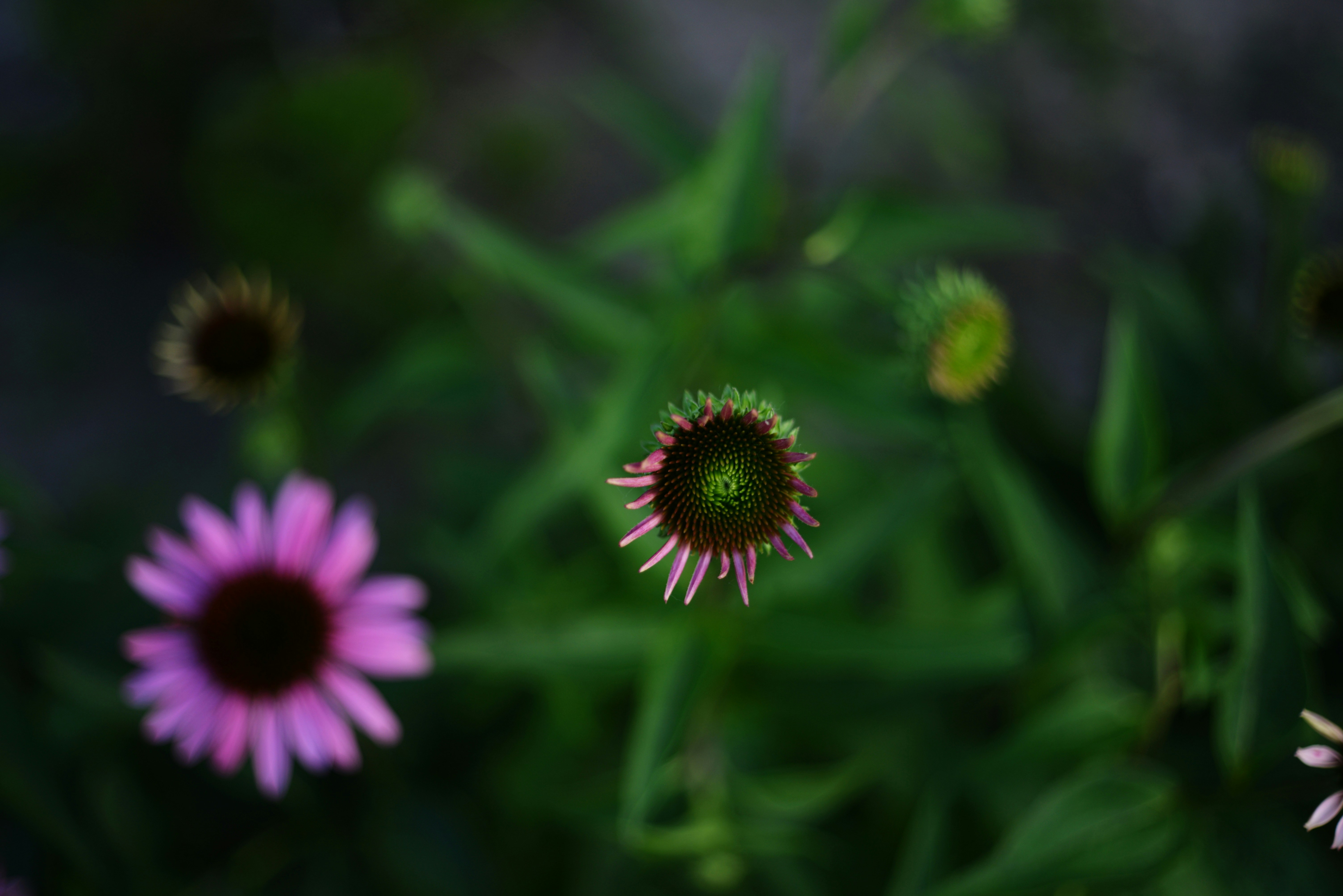 Photo by cherstve_pechivo