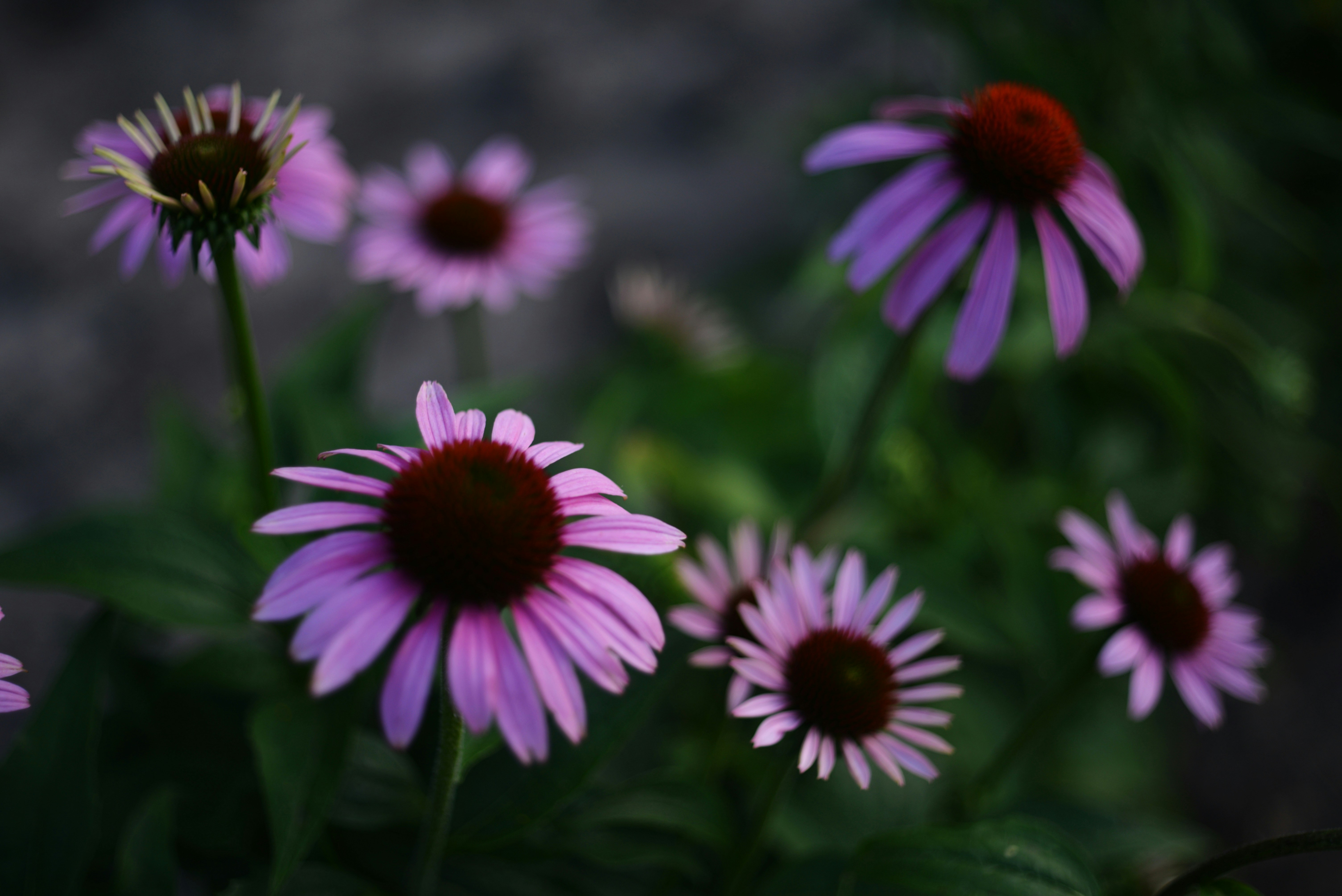 Photo by cherstve_pechivo