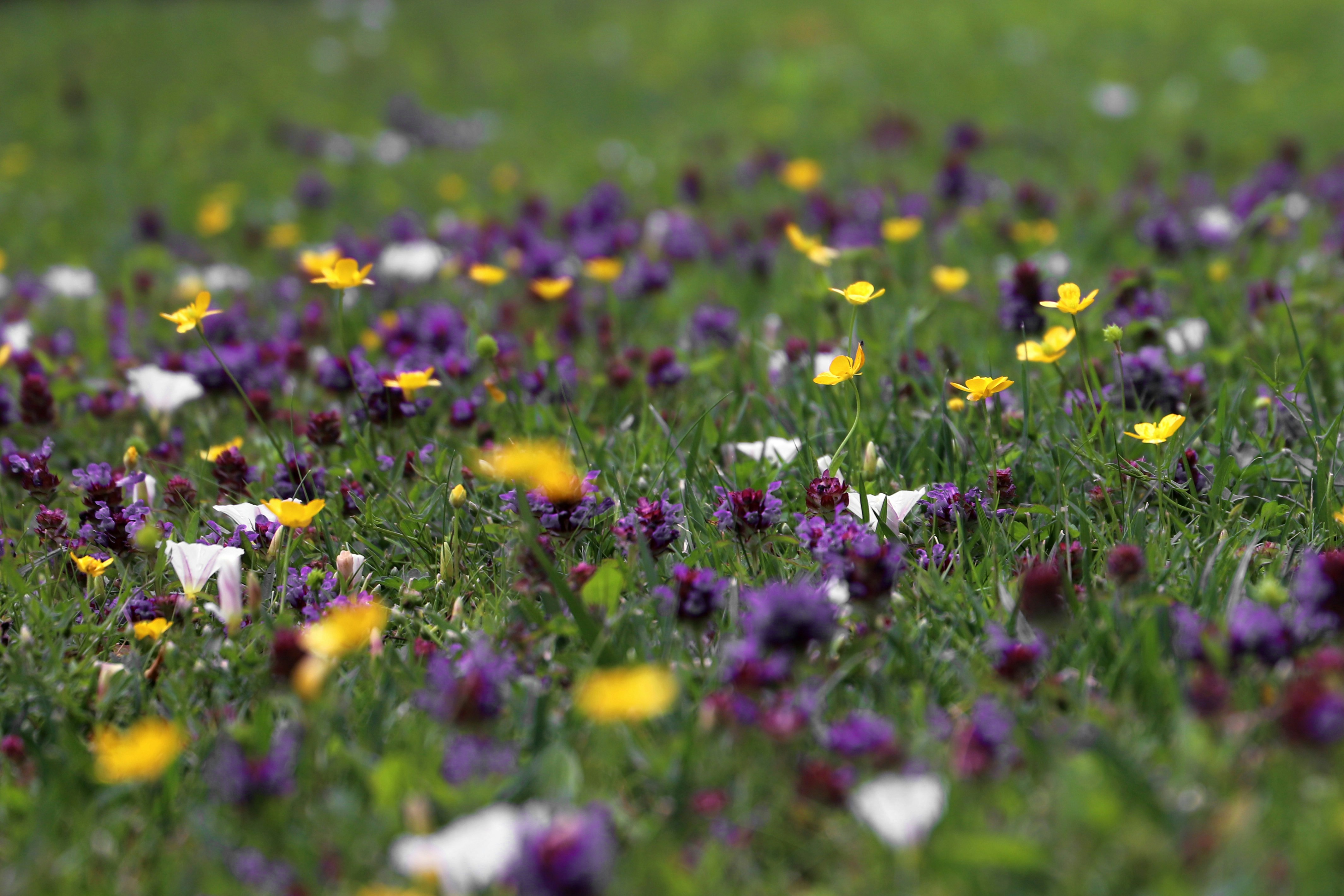 Photo by tourneskeud