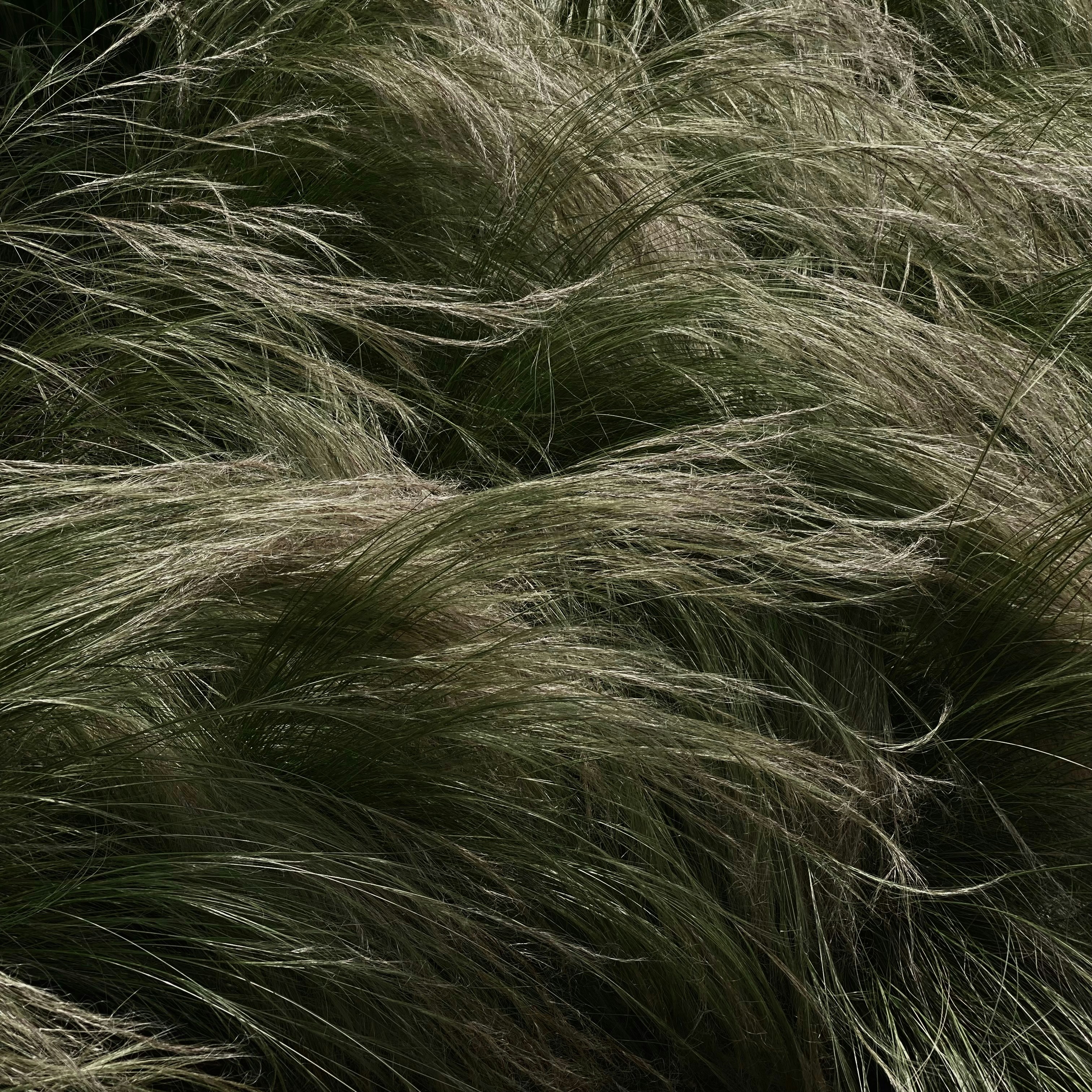 Photo by andriibrbsh