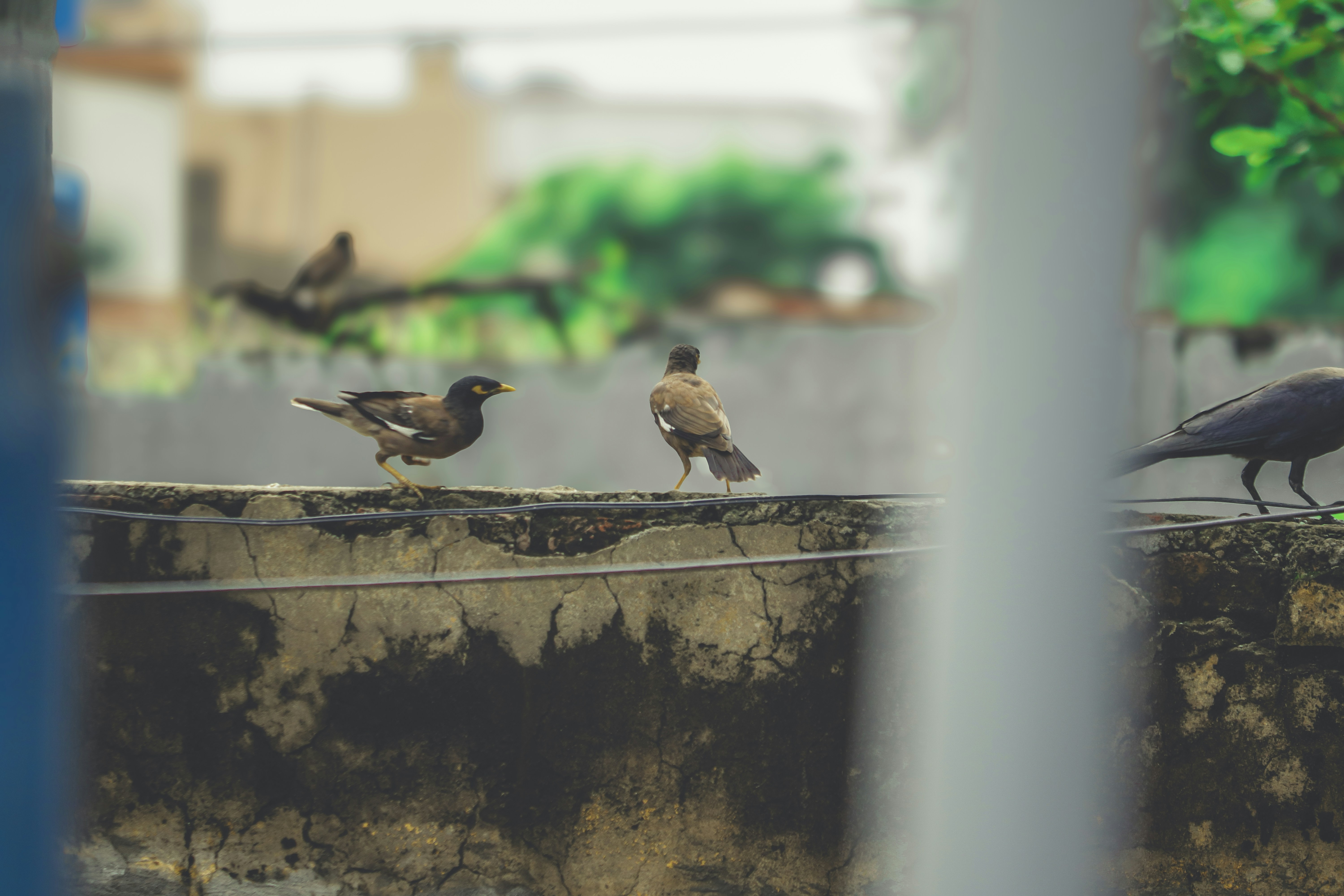 Photo by vibrantshades43