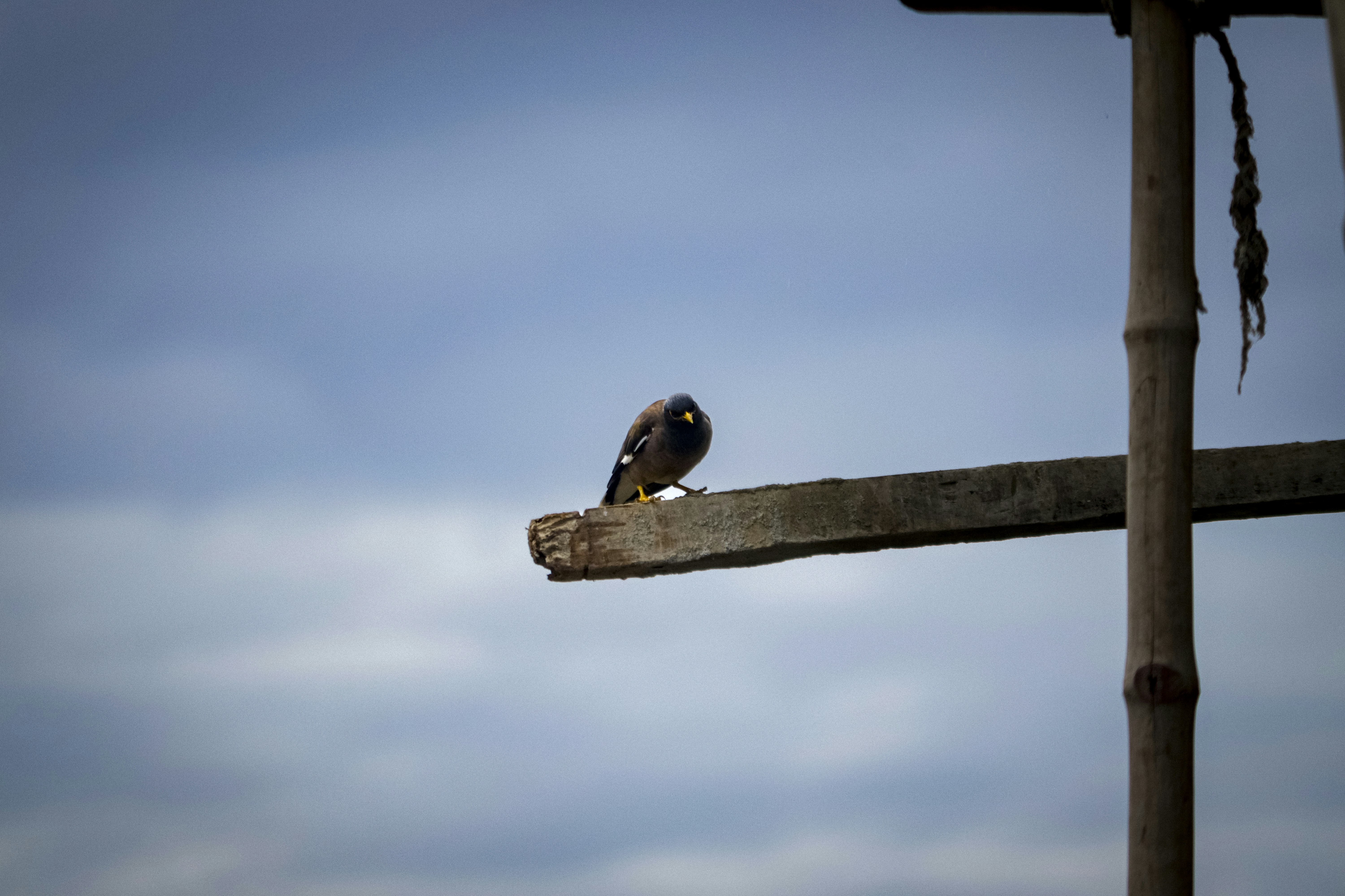 Photo by vibrantshades43