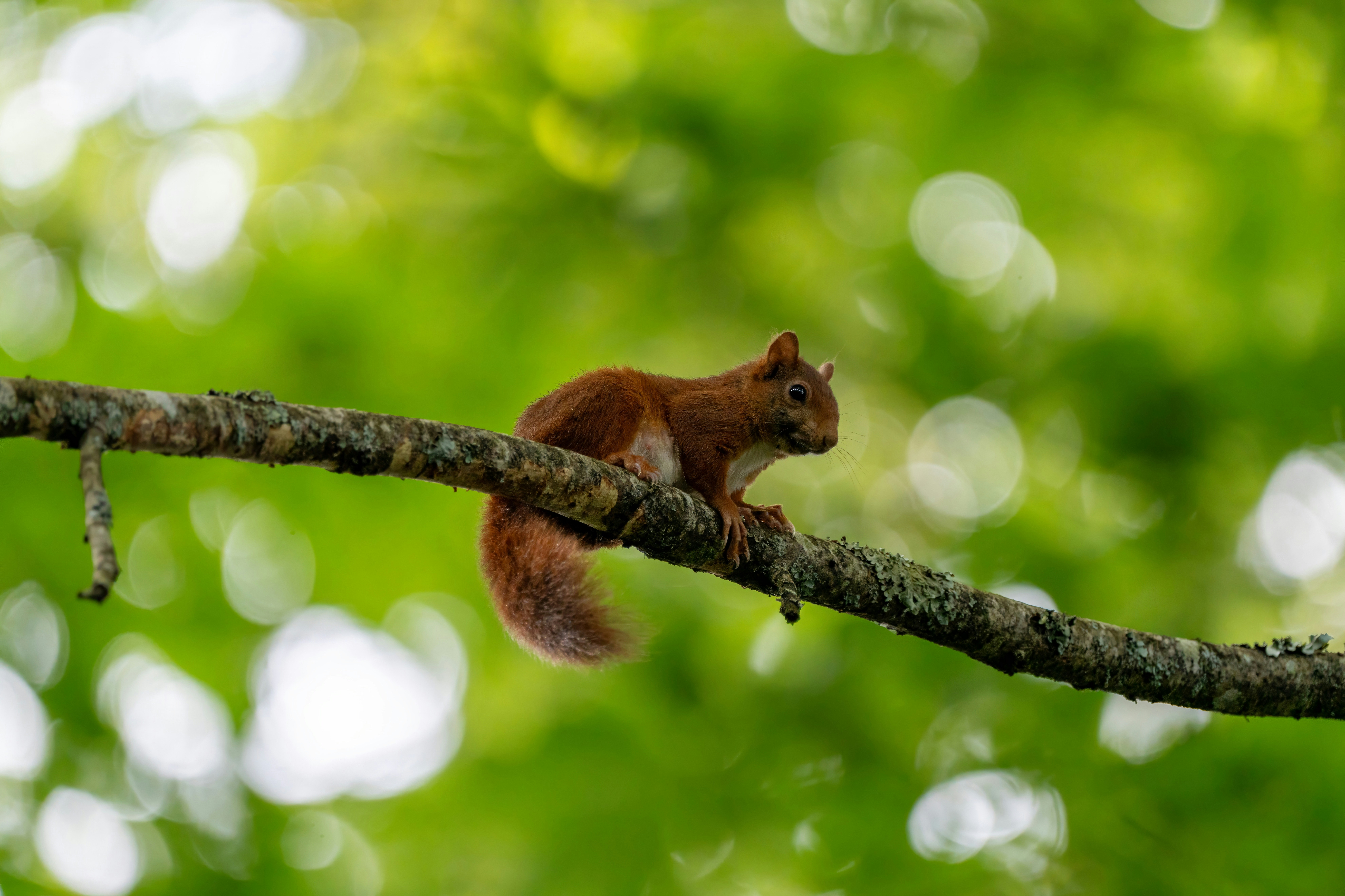 Photo by ronan_hello