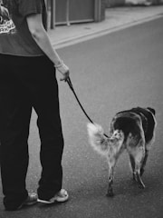 A man walking a dog on a leash down a street