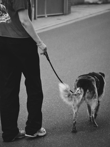 A man walking a dog on a leash down a street