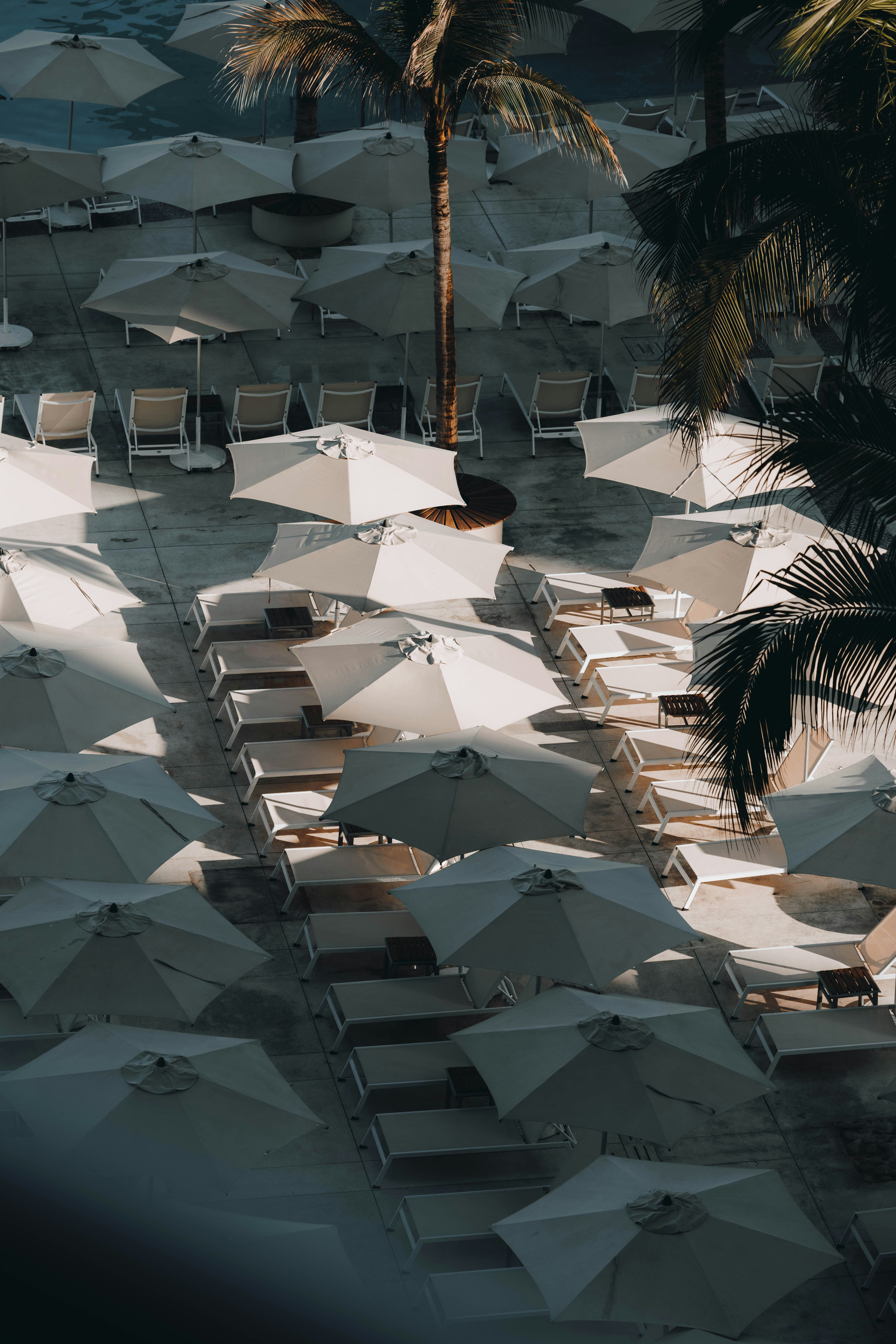 Photo by jeffersonsees