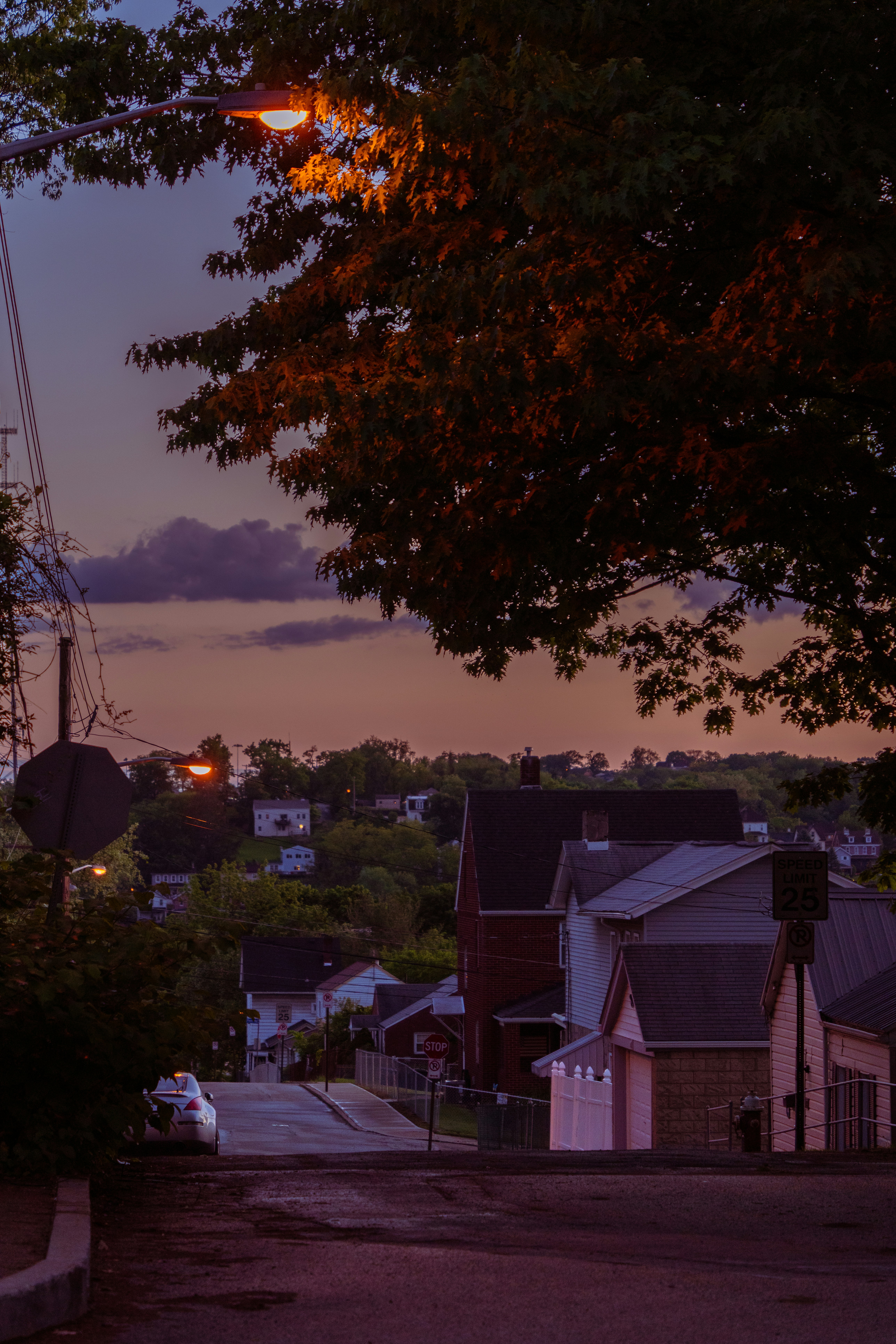 Photo by zhenyao_photo