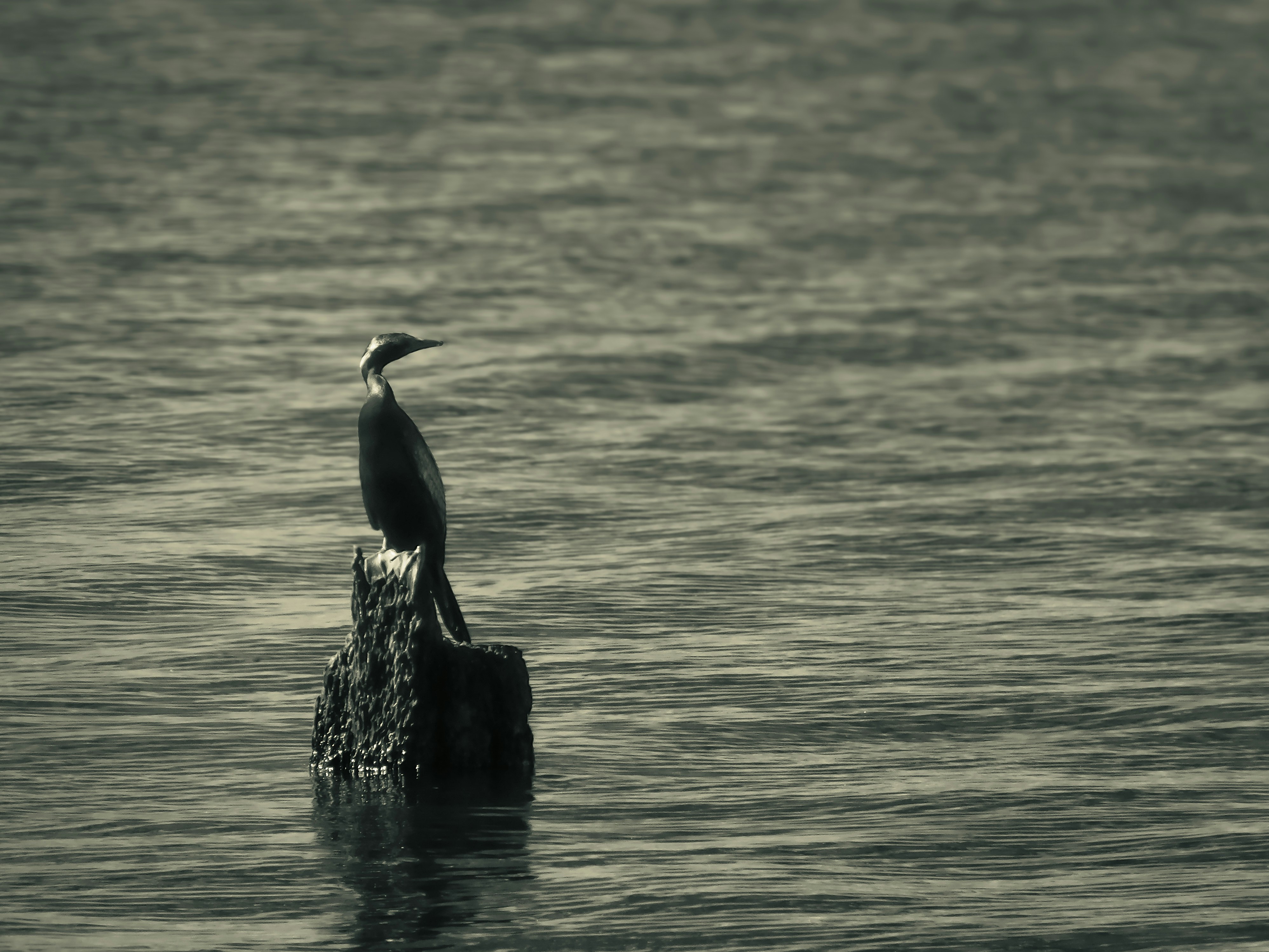 Photo by true_reflection_s