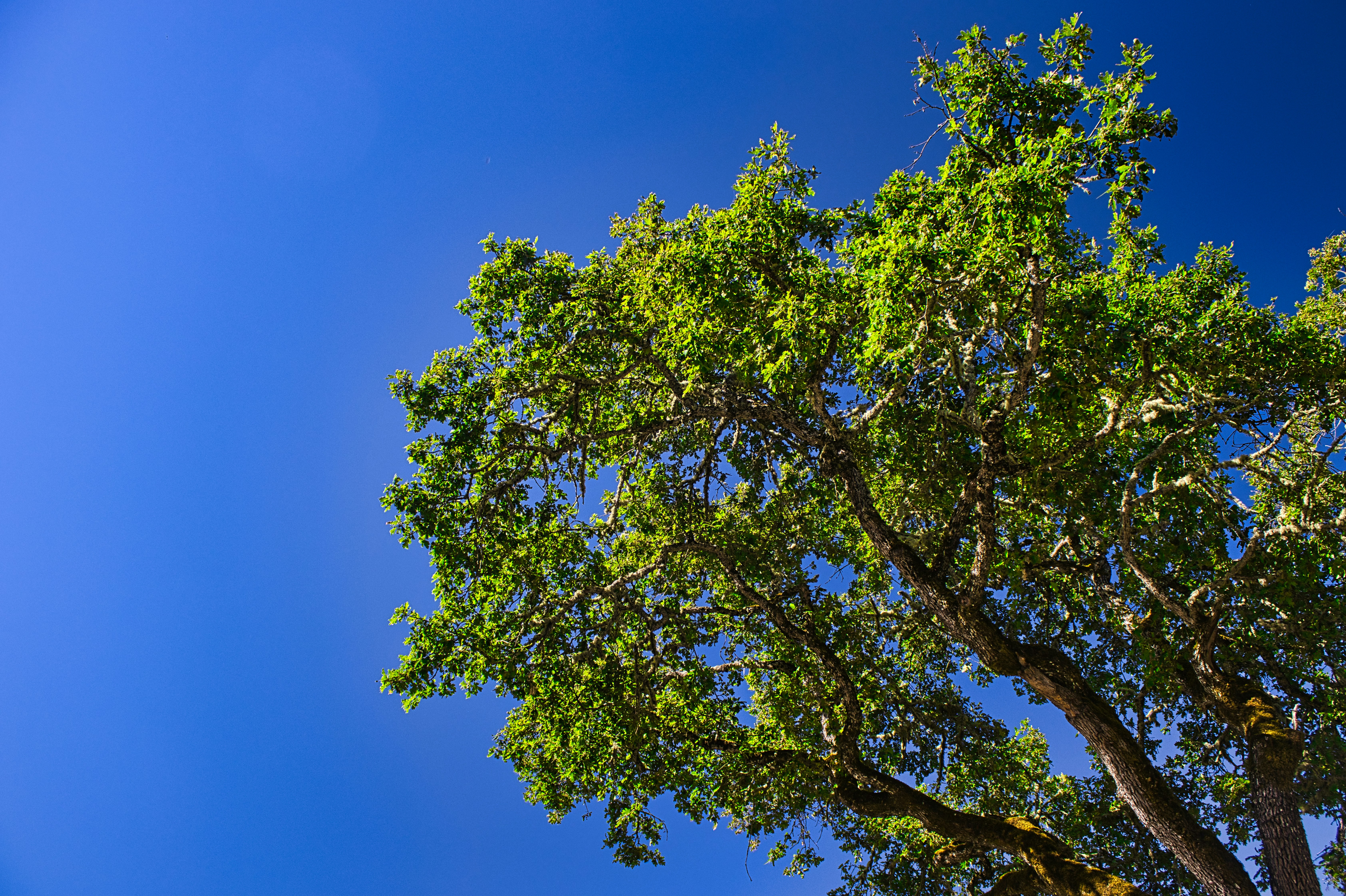 Photo by davidjboozer