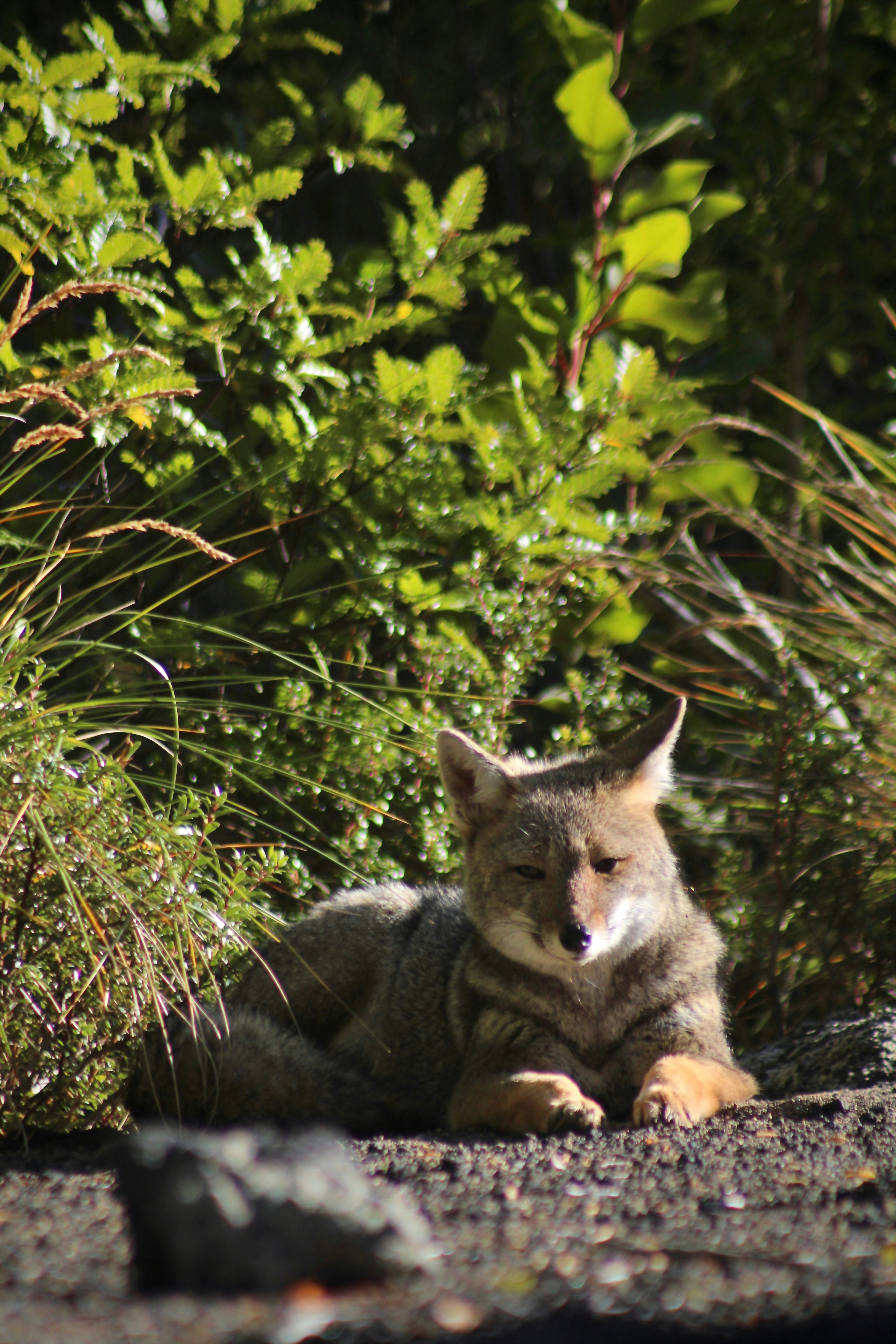 Photo by cirarrazaval