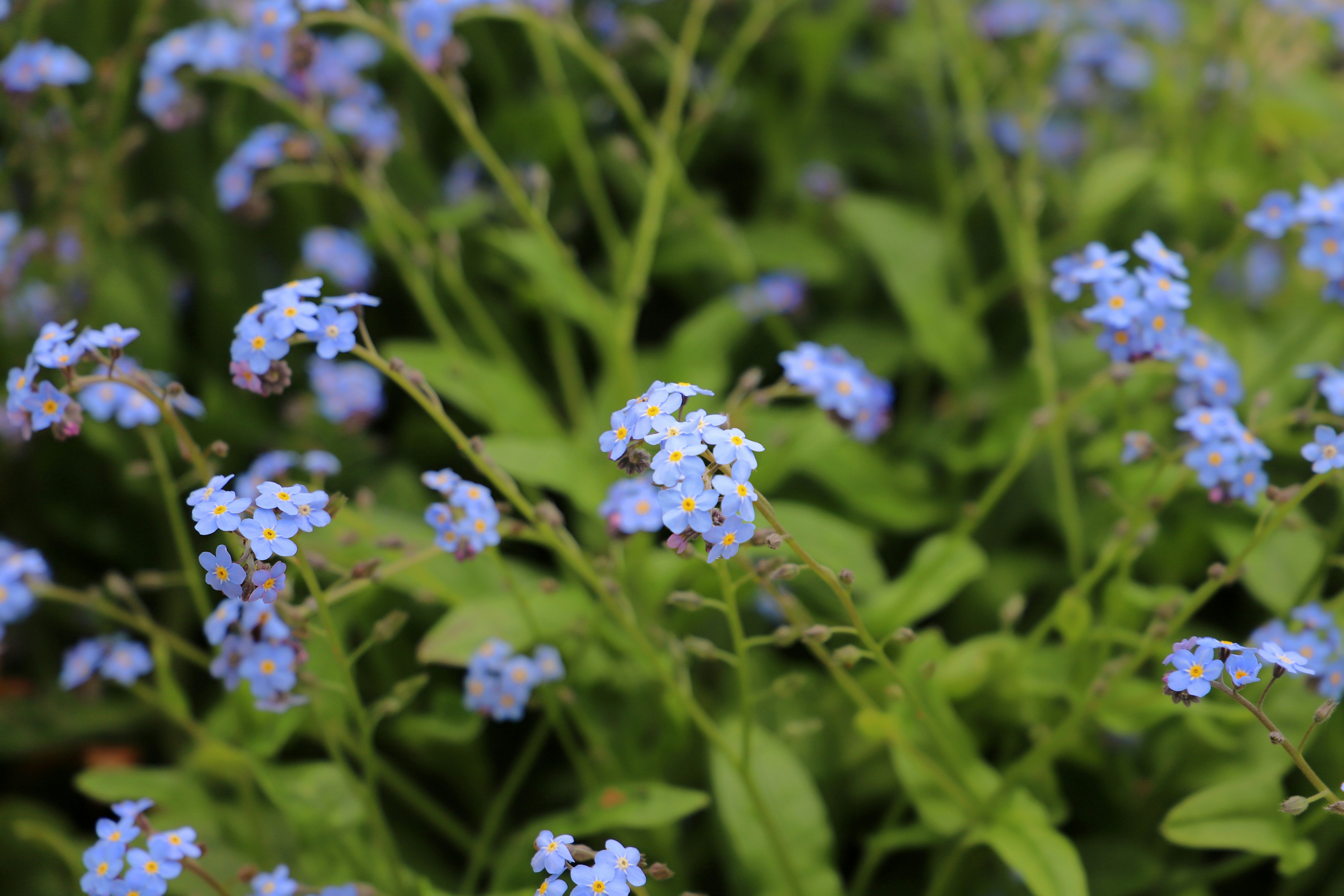 Photo by tourneskeud