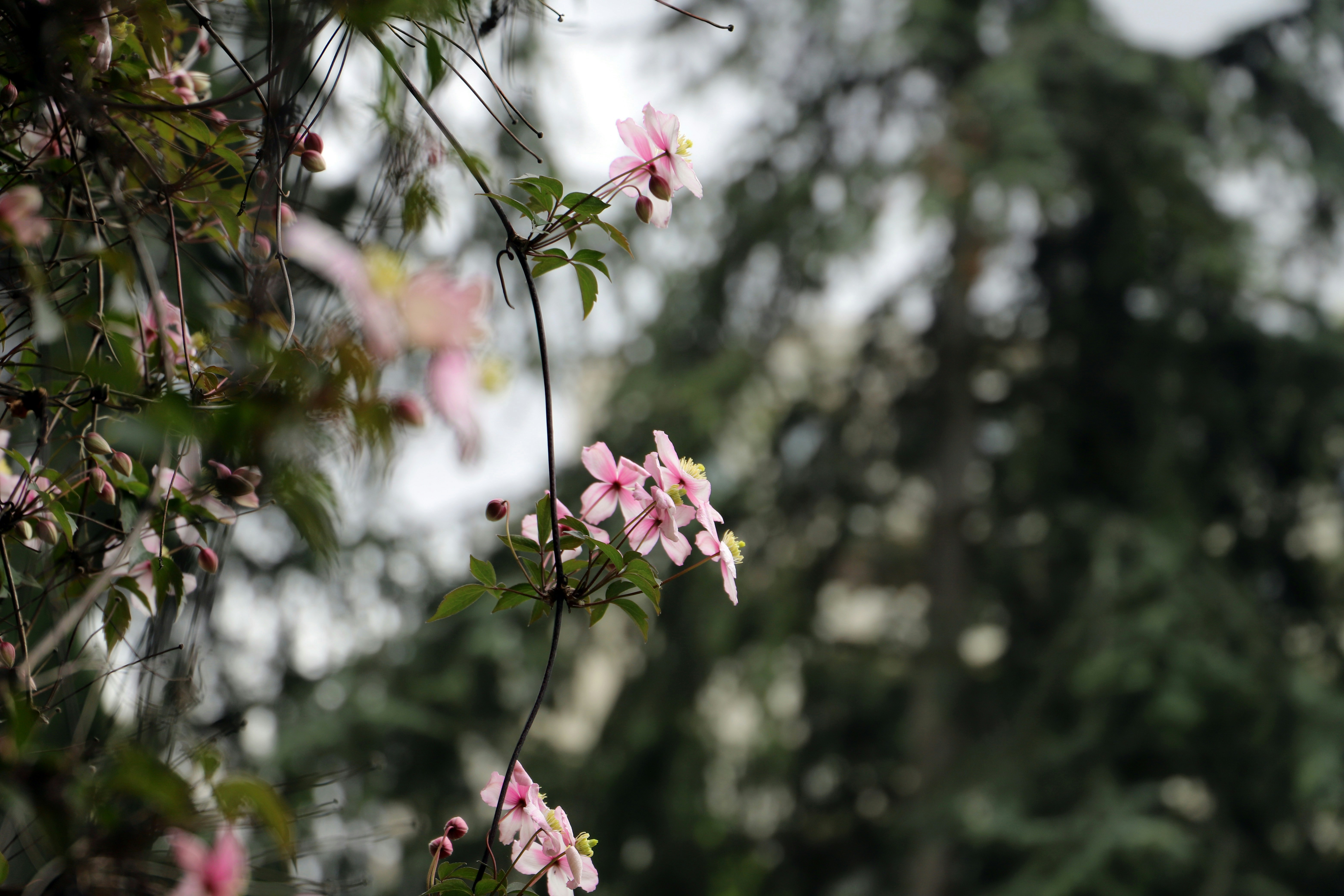 Photo by tourneskeud