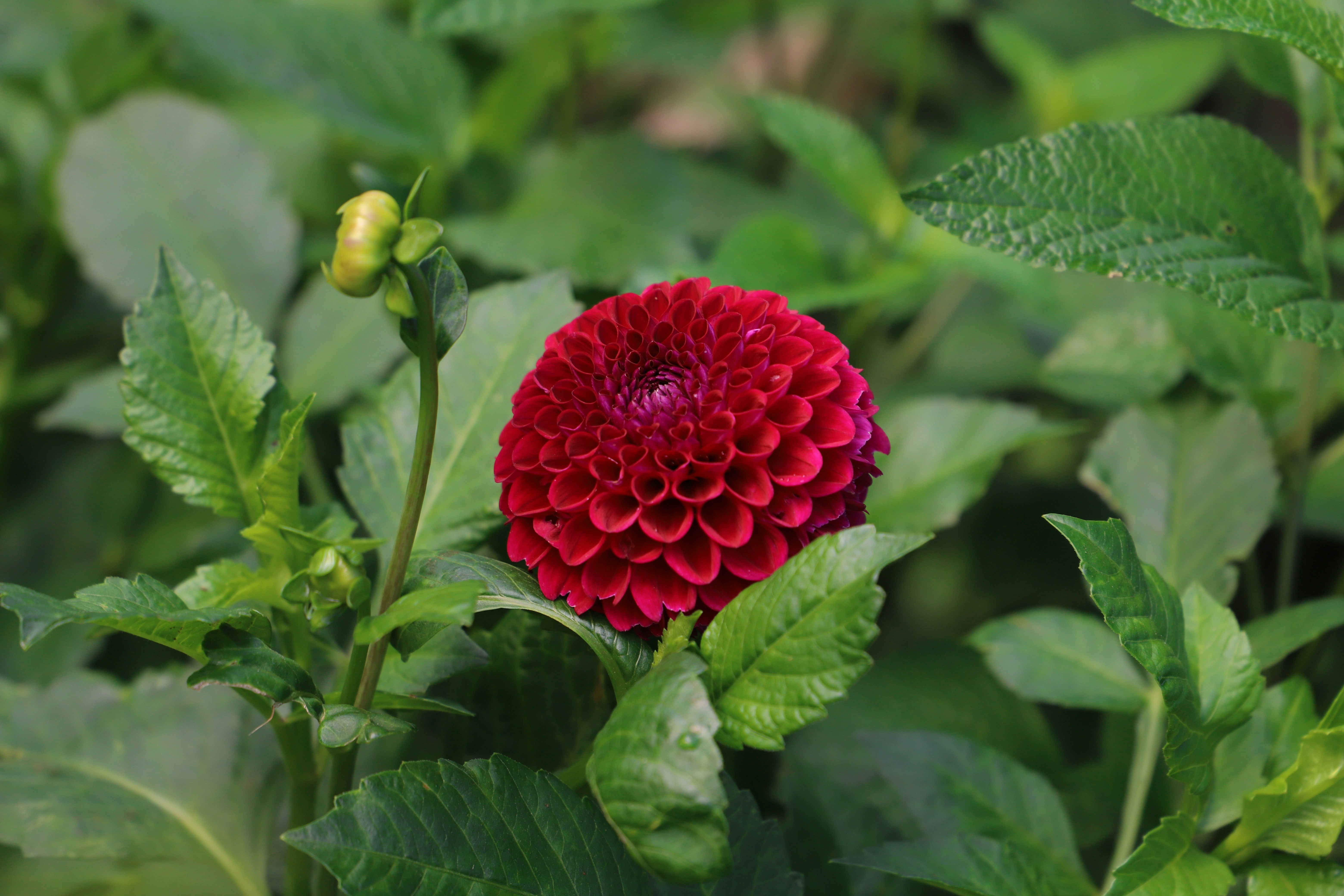 Photo by tourneskeud