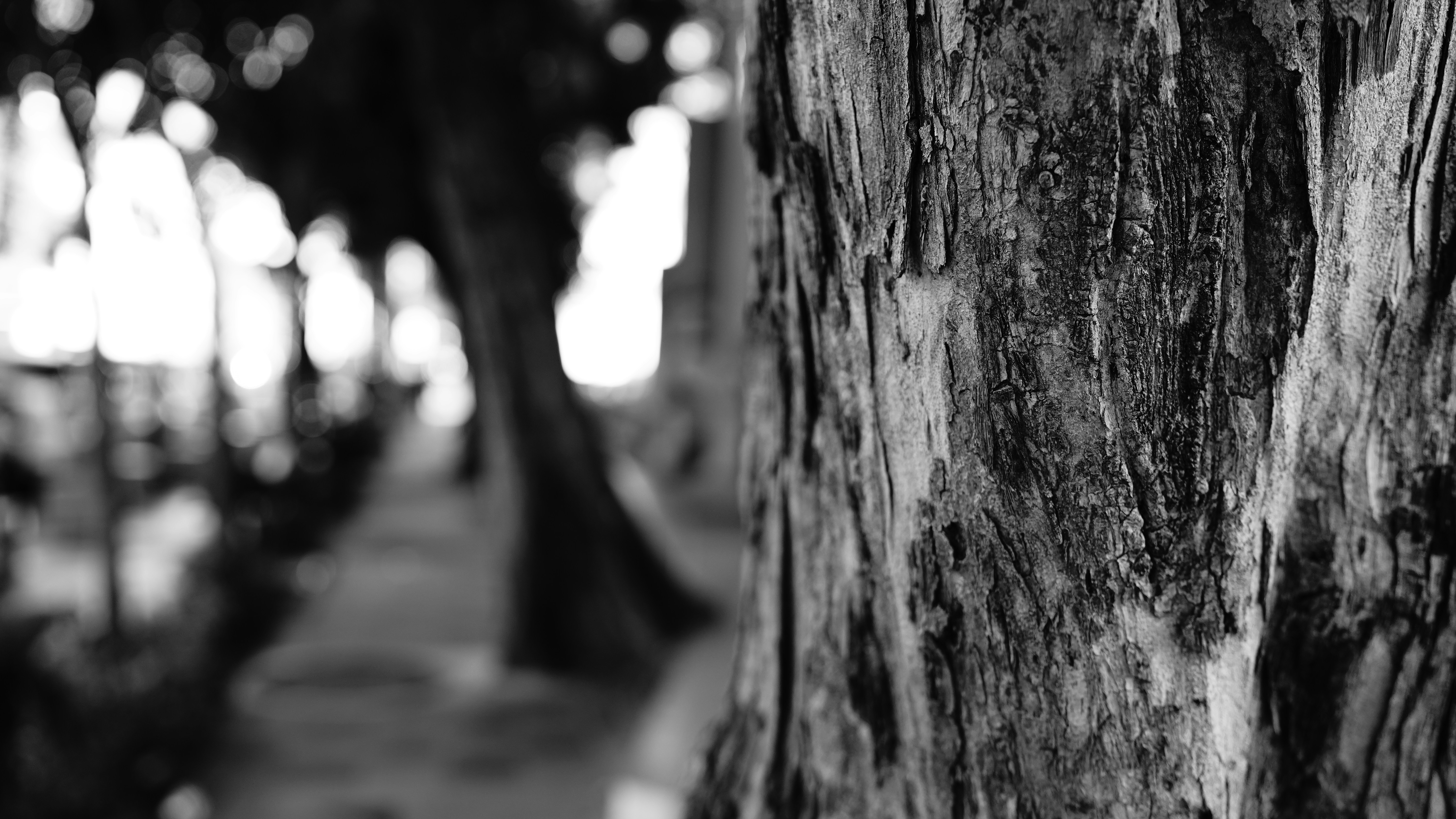 Photo by ferryphoto123