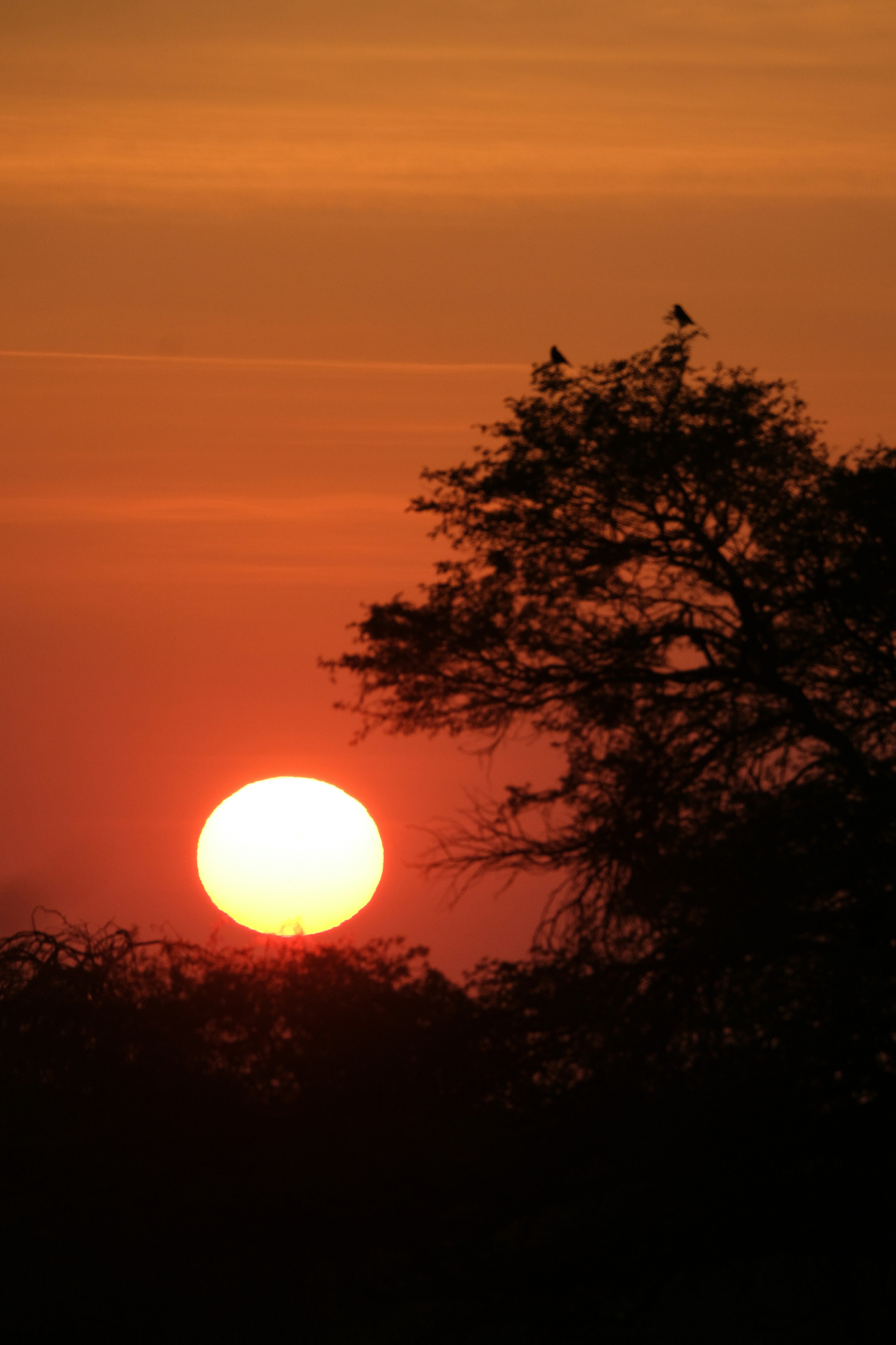 Photo by francesco_ungaro