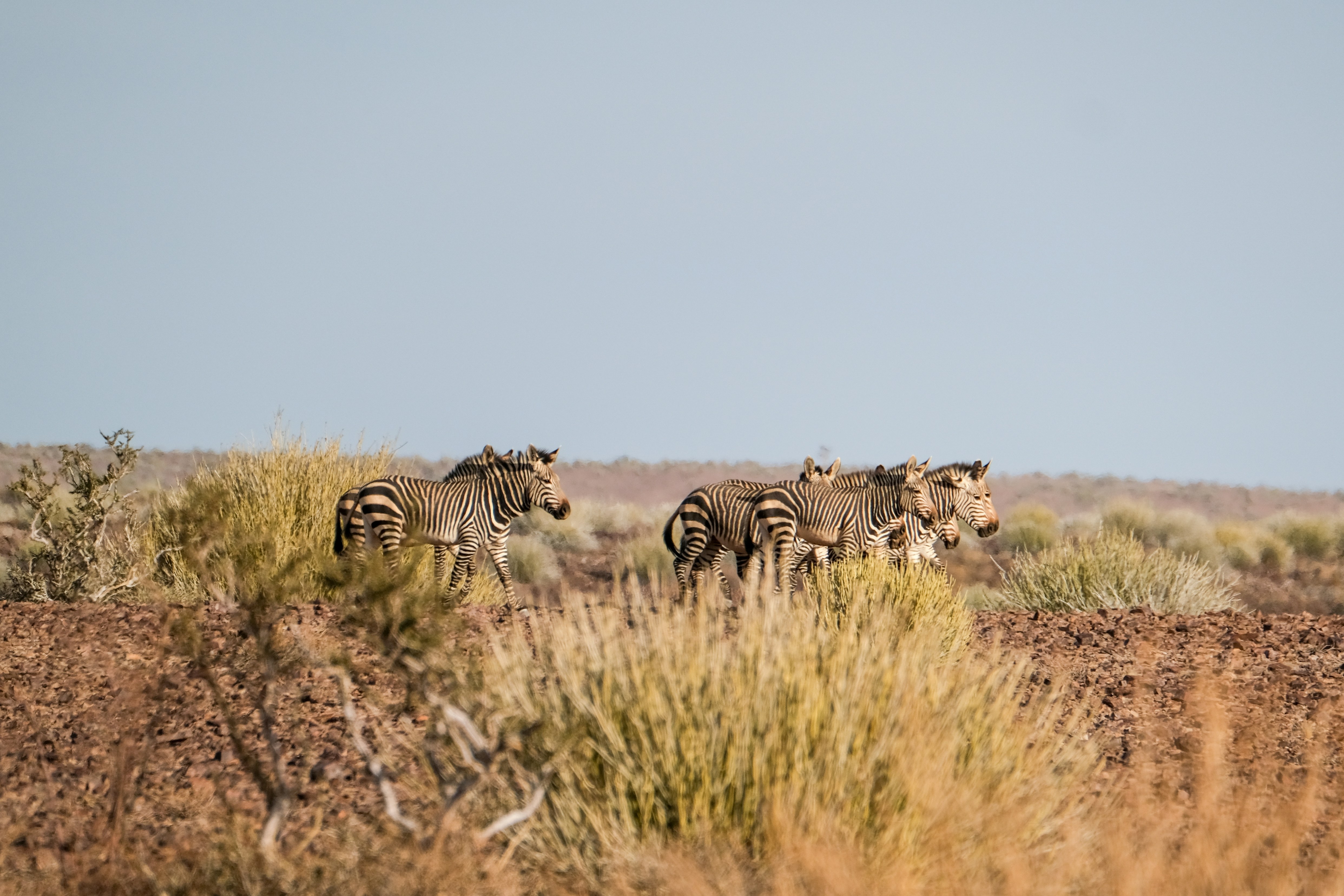 Photo by francesco_ungaro