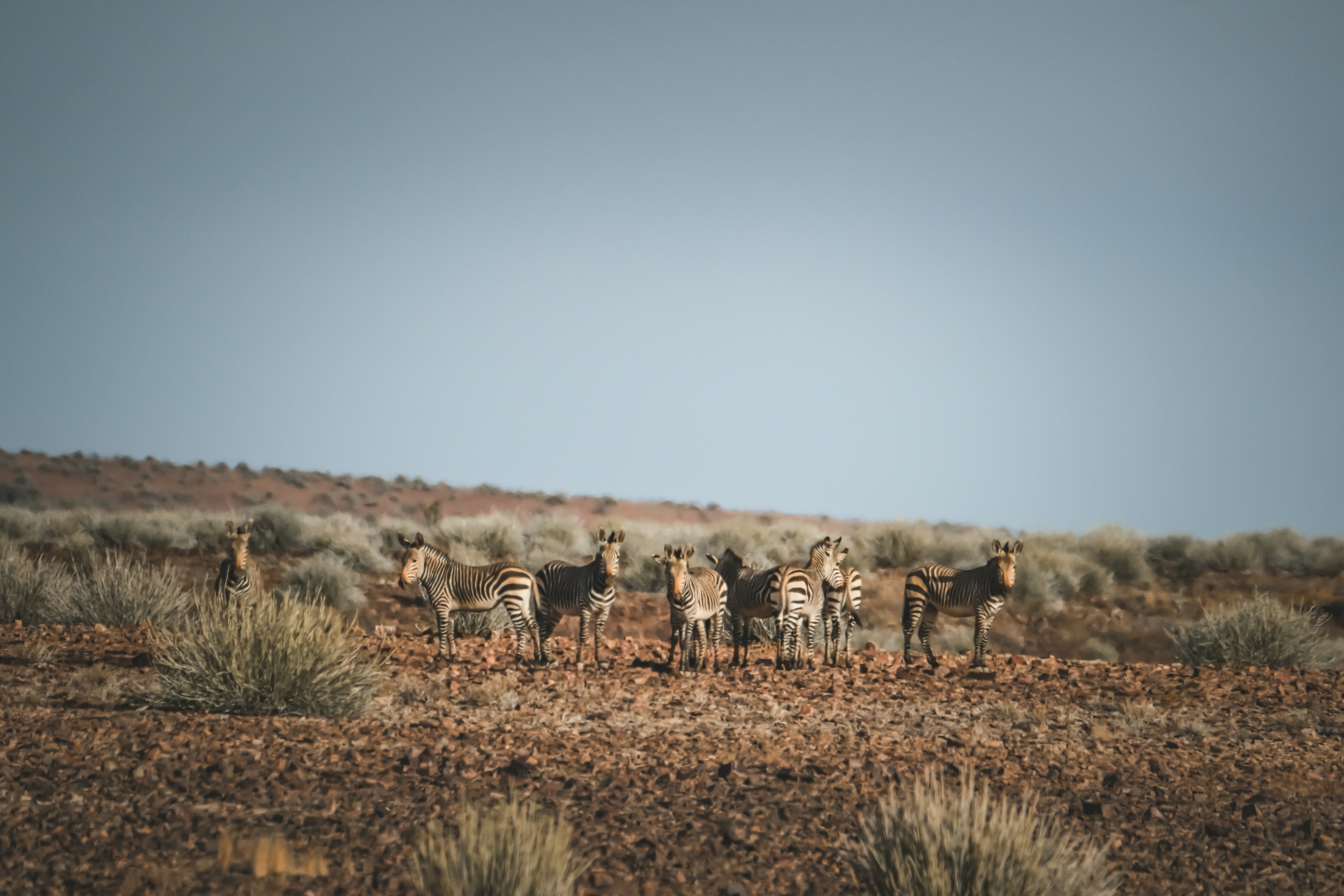 Photo by francesco_ungaro