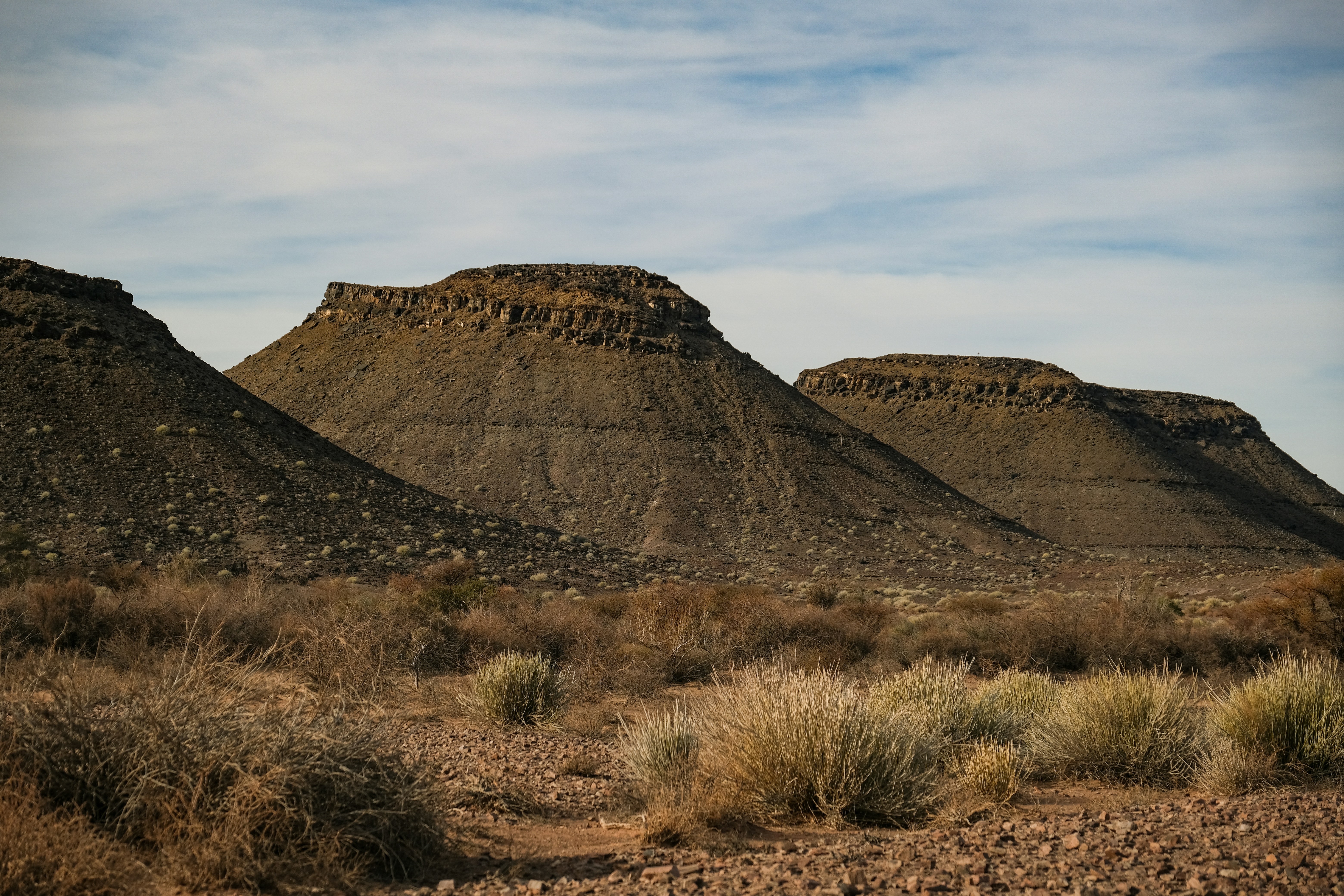 Photo by francesco_ungaro