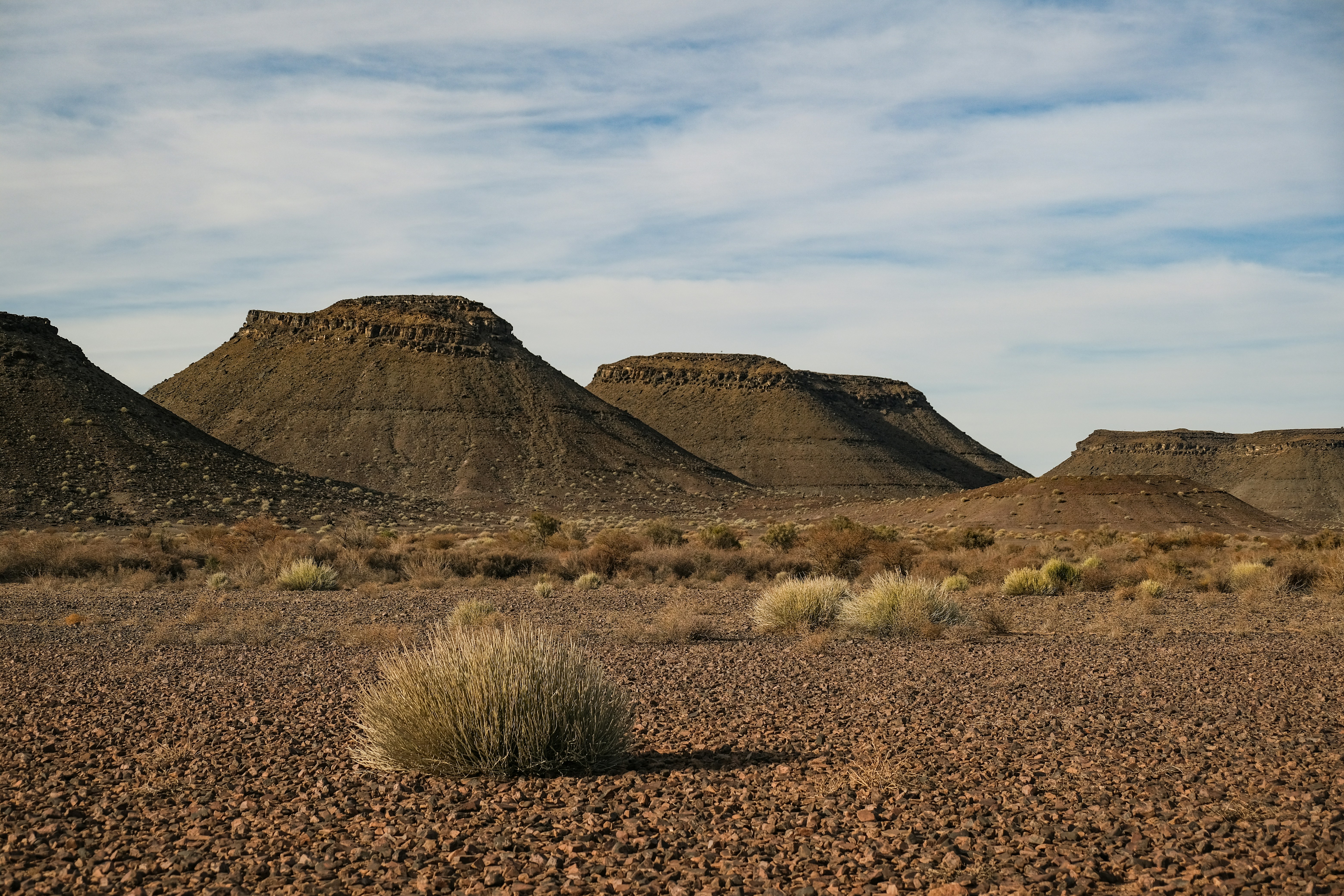 Photo by francesco_ungaro