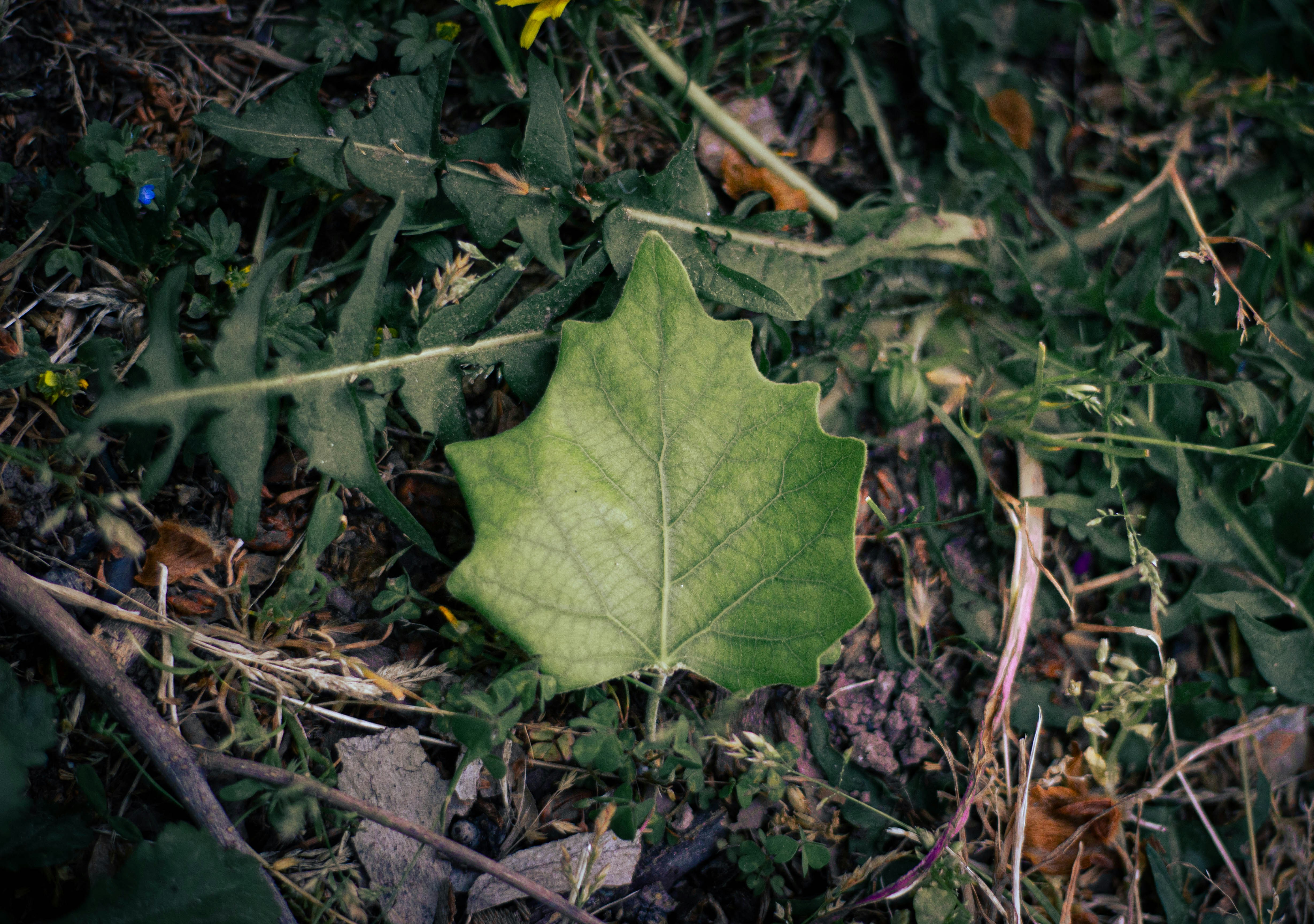 Photo by hossein_esm