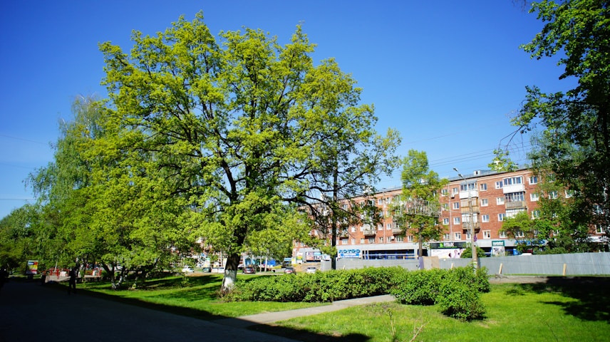 Loughborough University