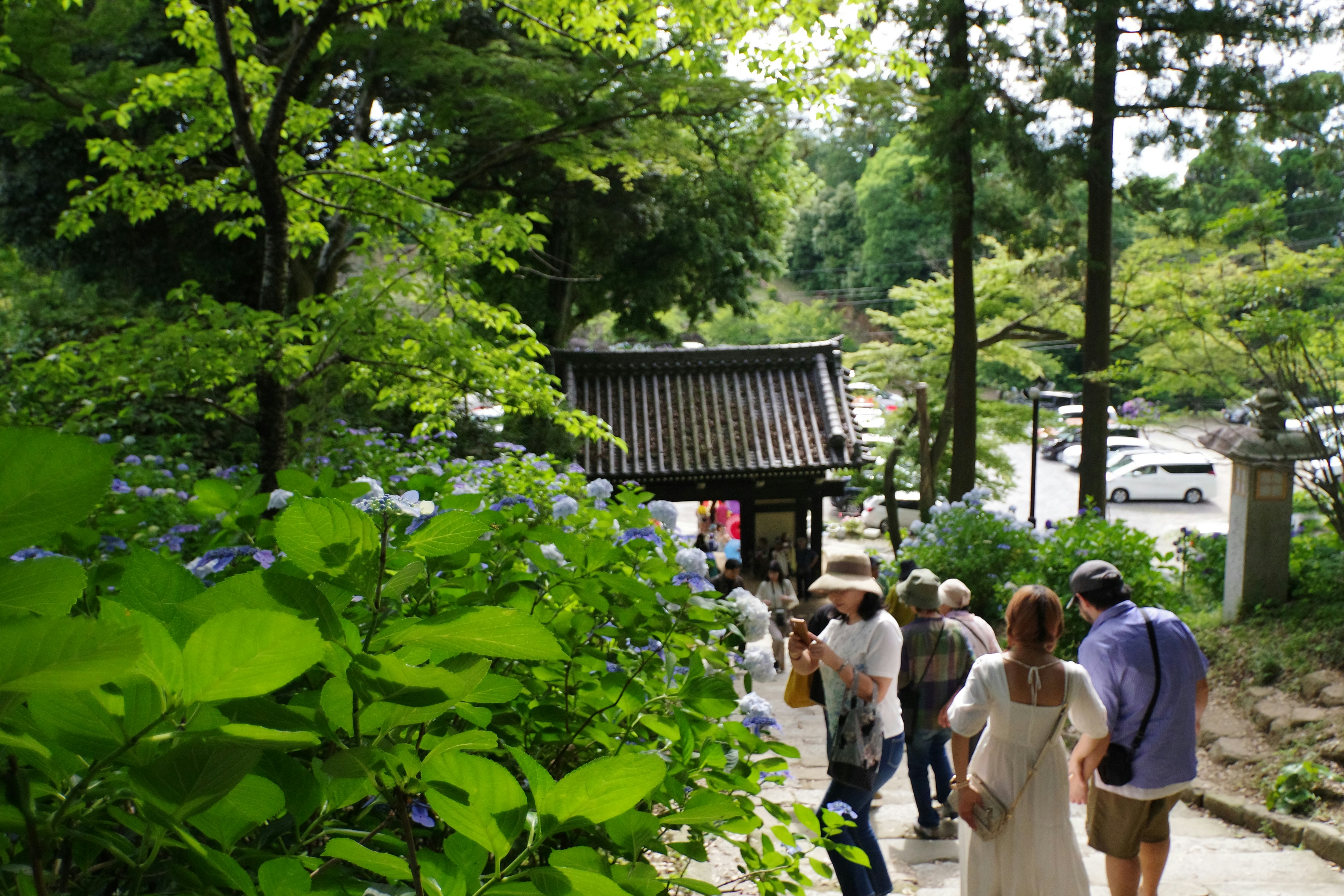 媽呀！廚房水管塞爆？水電工阿伯教你一招，免花錢瞬間通！