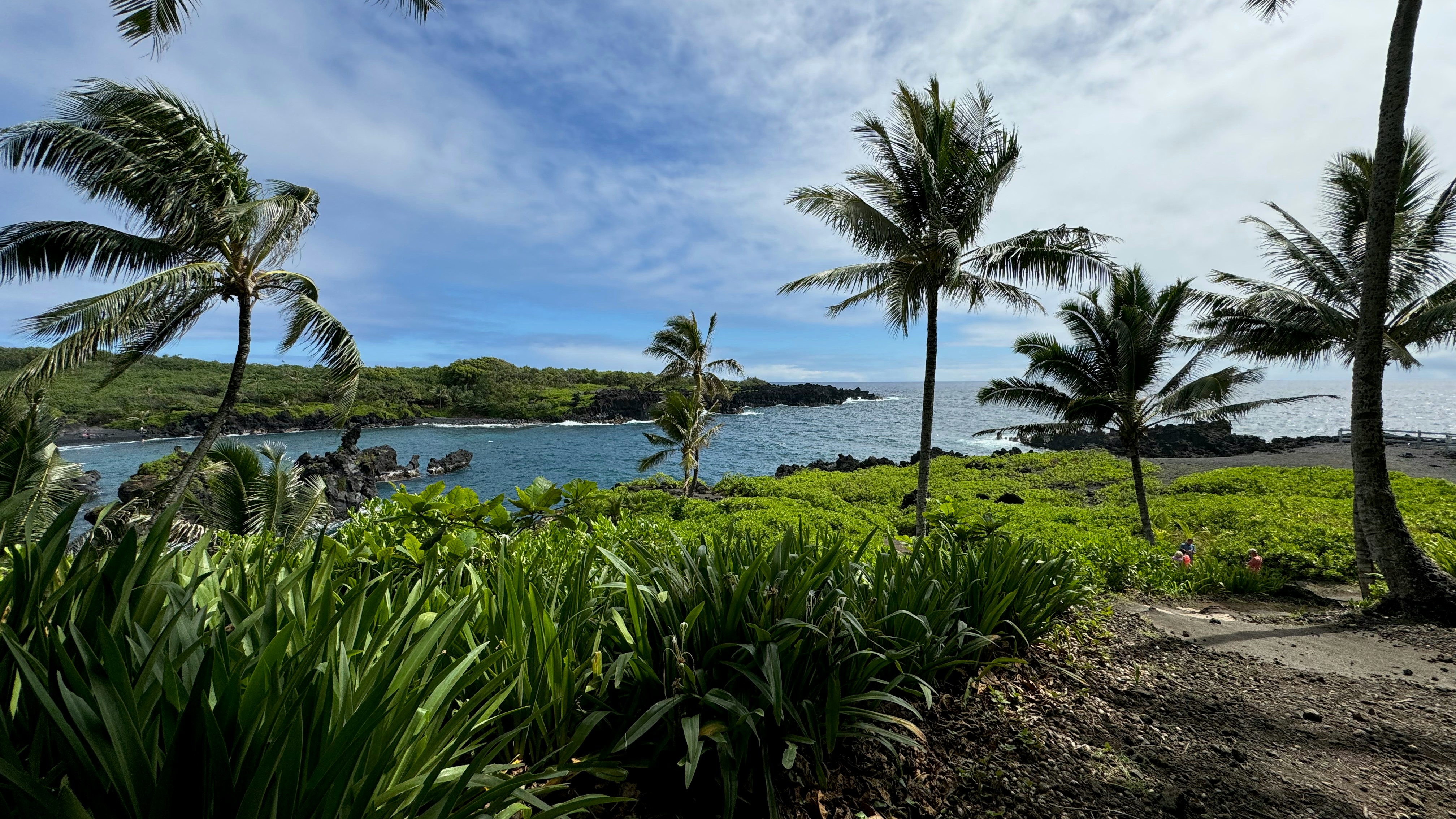 Hoaloha Park