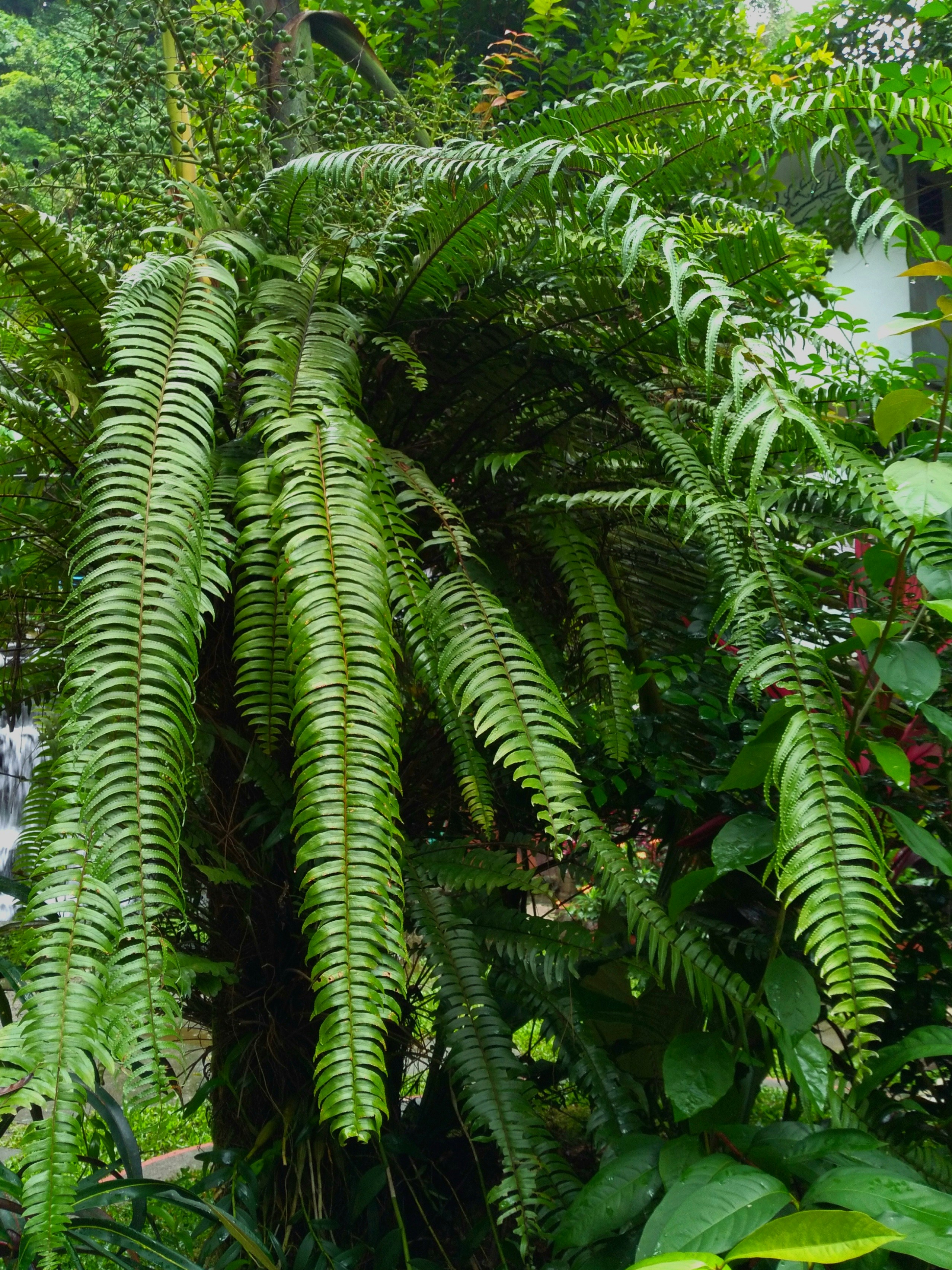 Photo by papiliomater