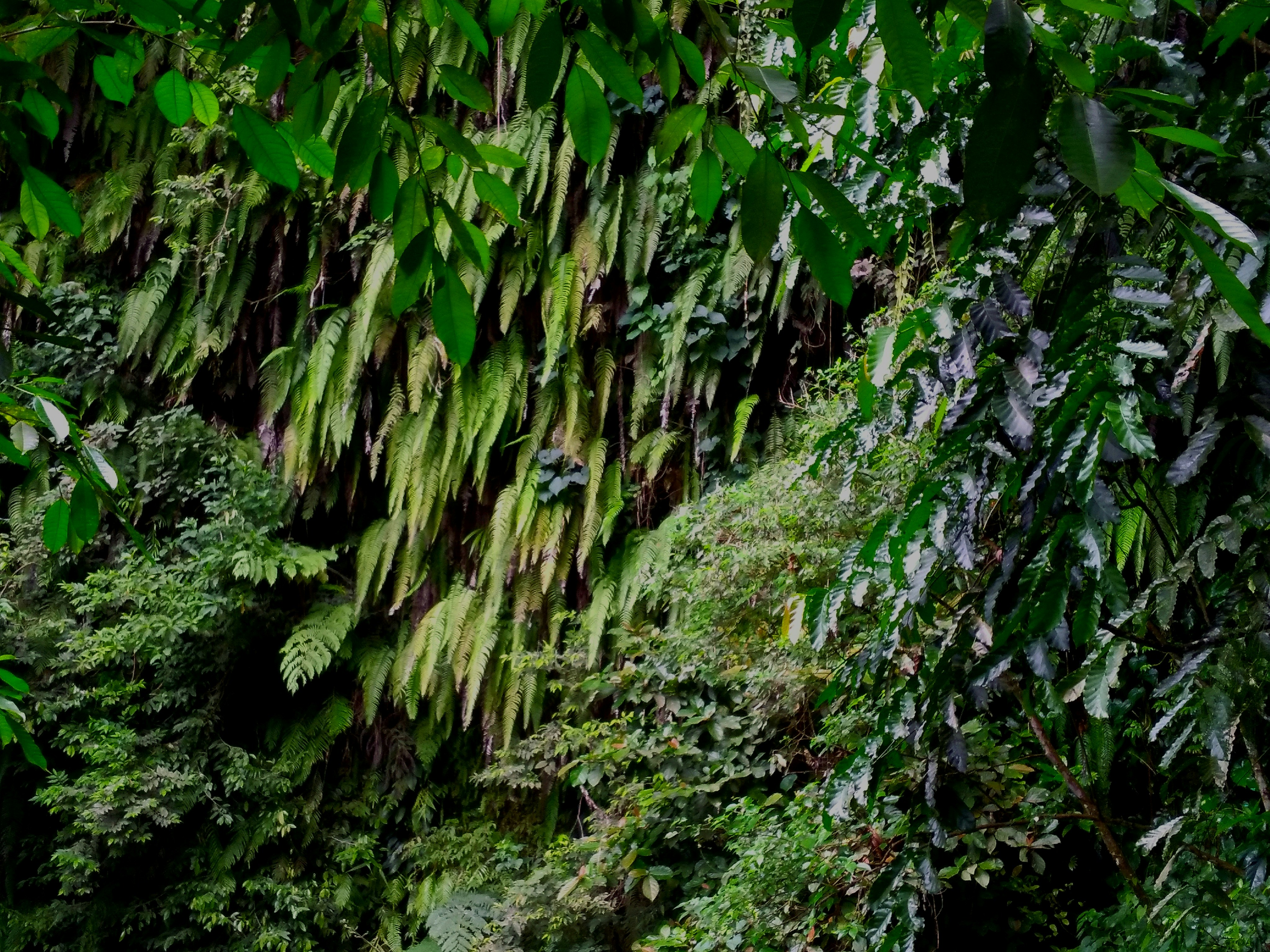 Photo by papiliomater