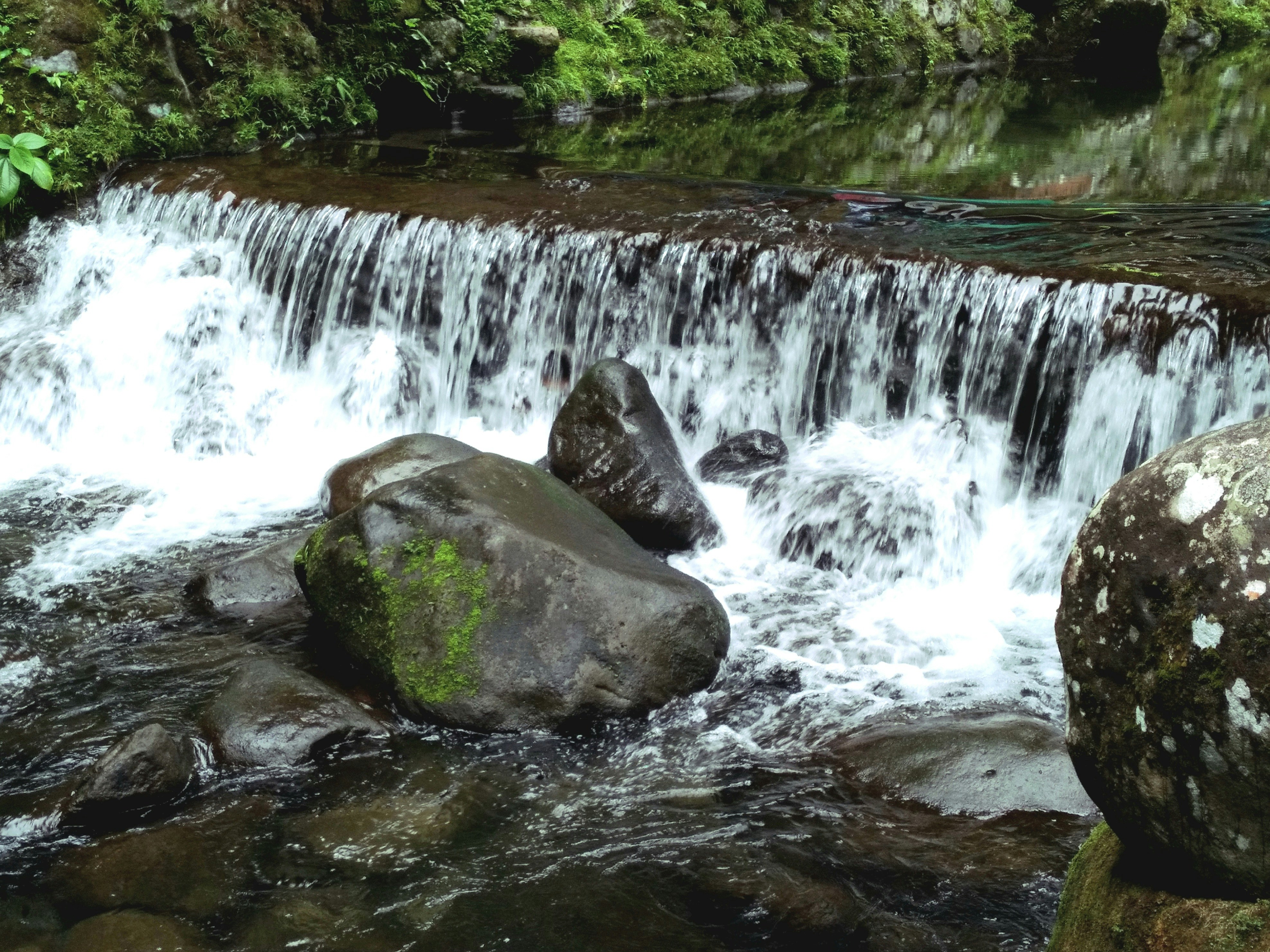 Photo by papiliomater