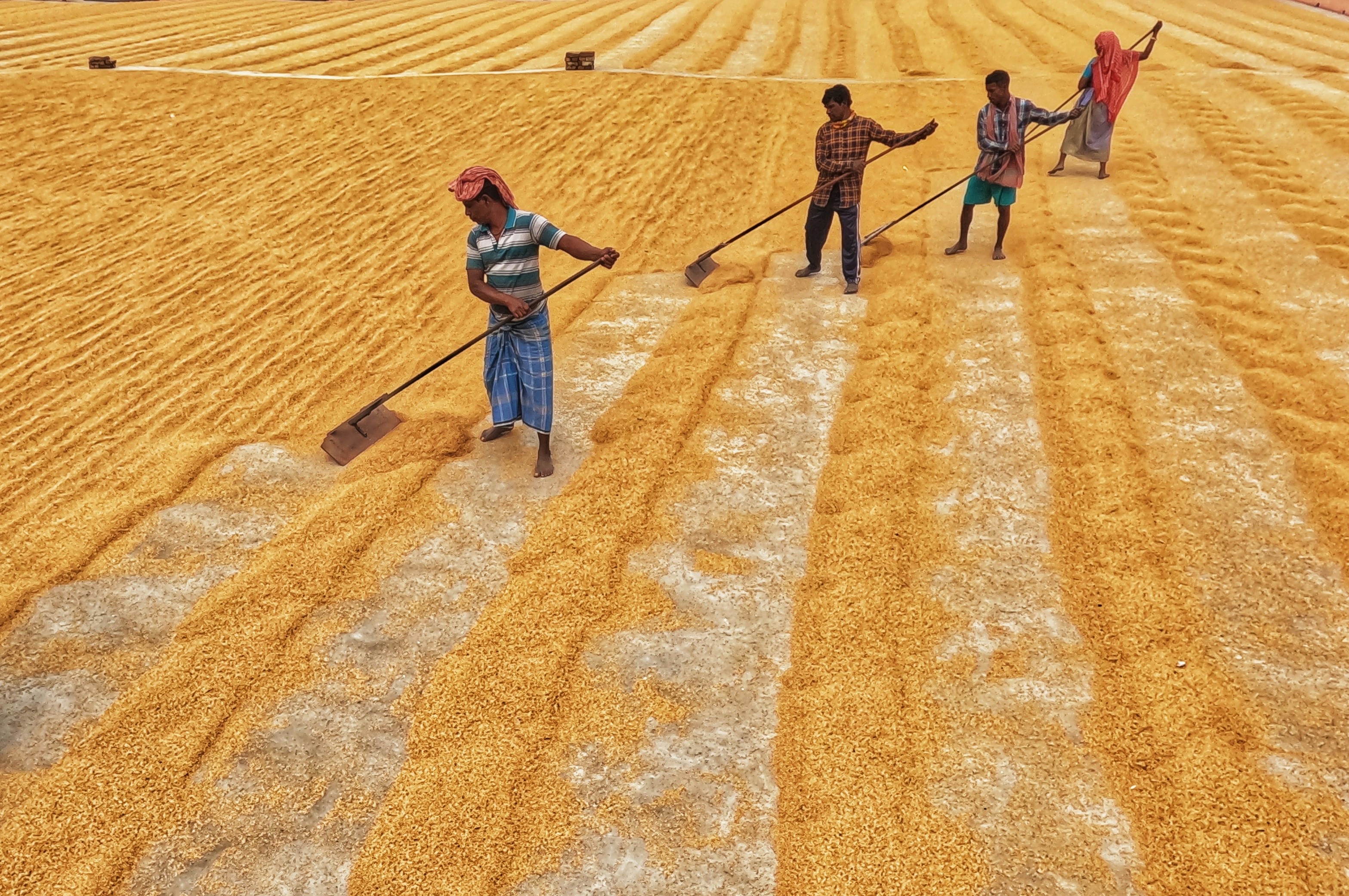 Photo by dibakar16roy