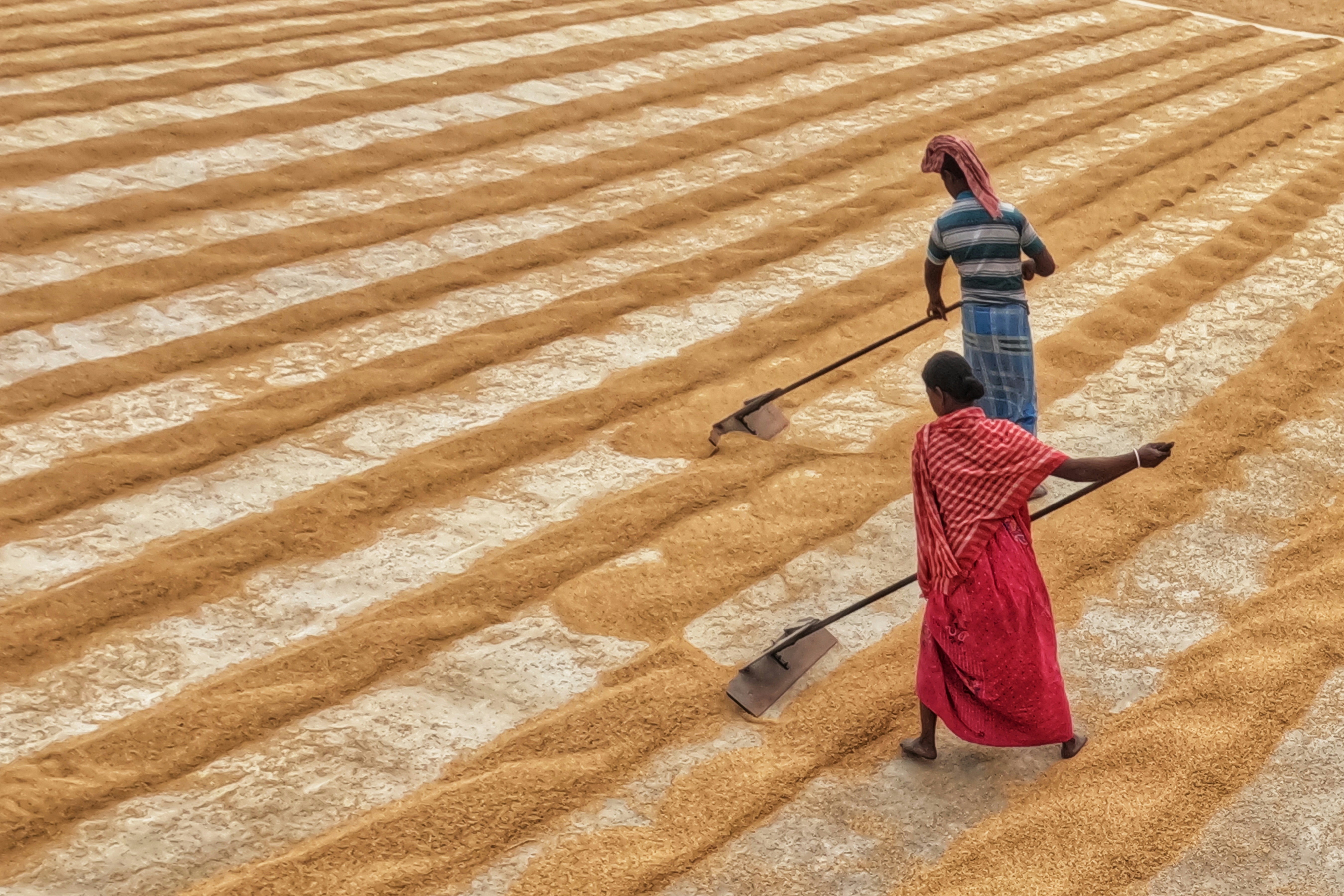 Photo by dibakar16roy