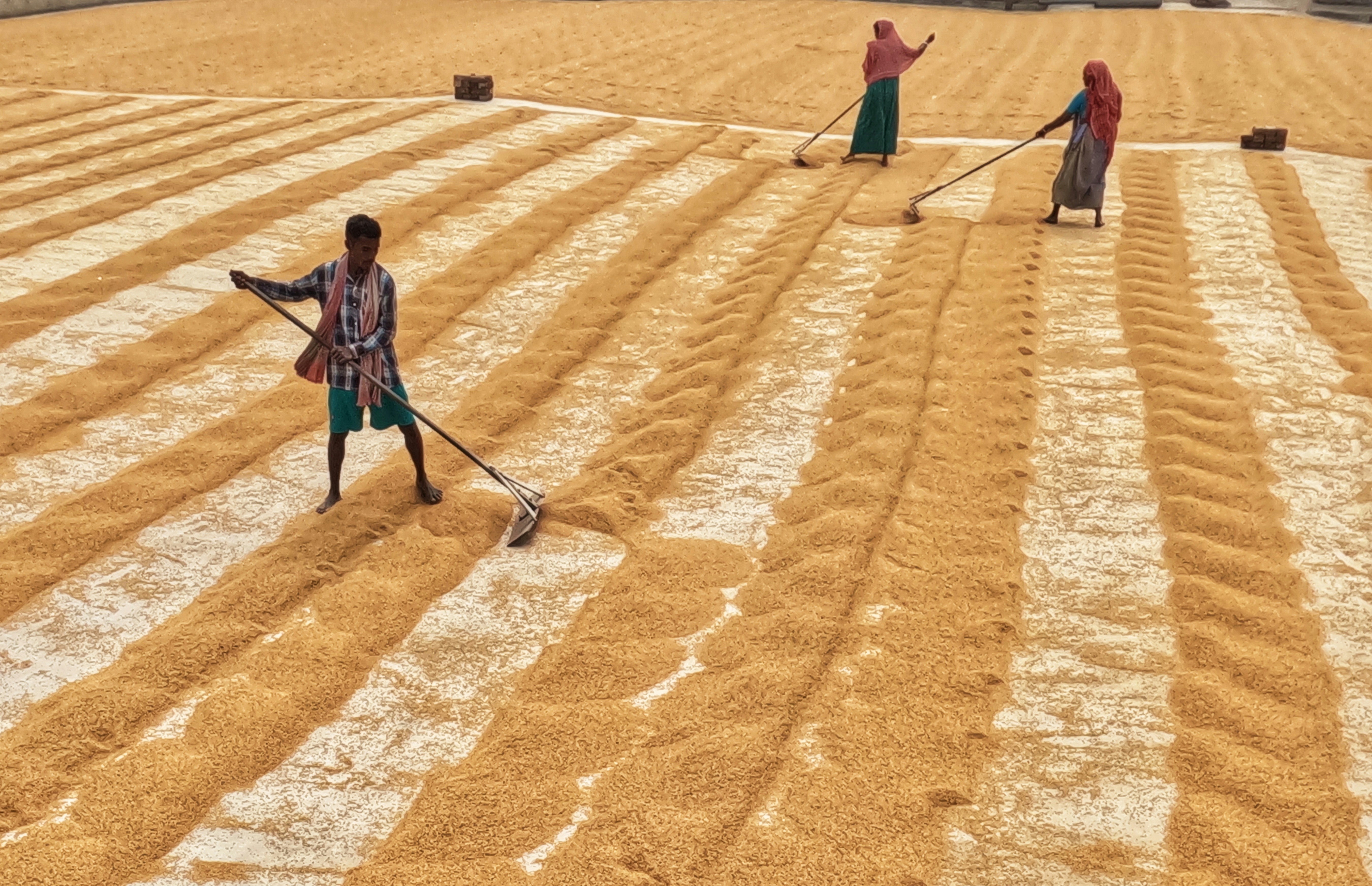 Photo by dibakar16roy