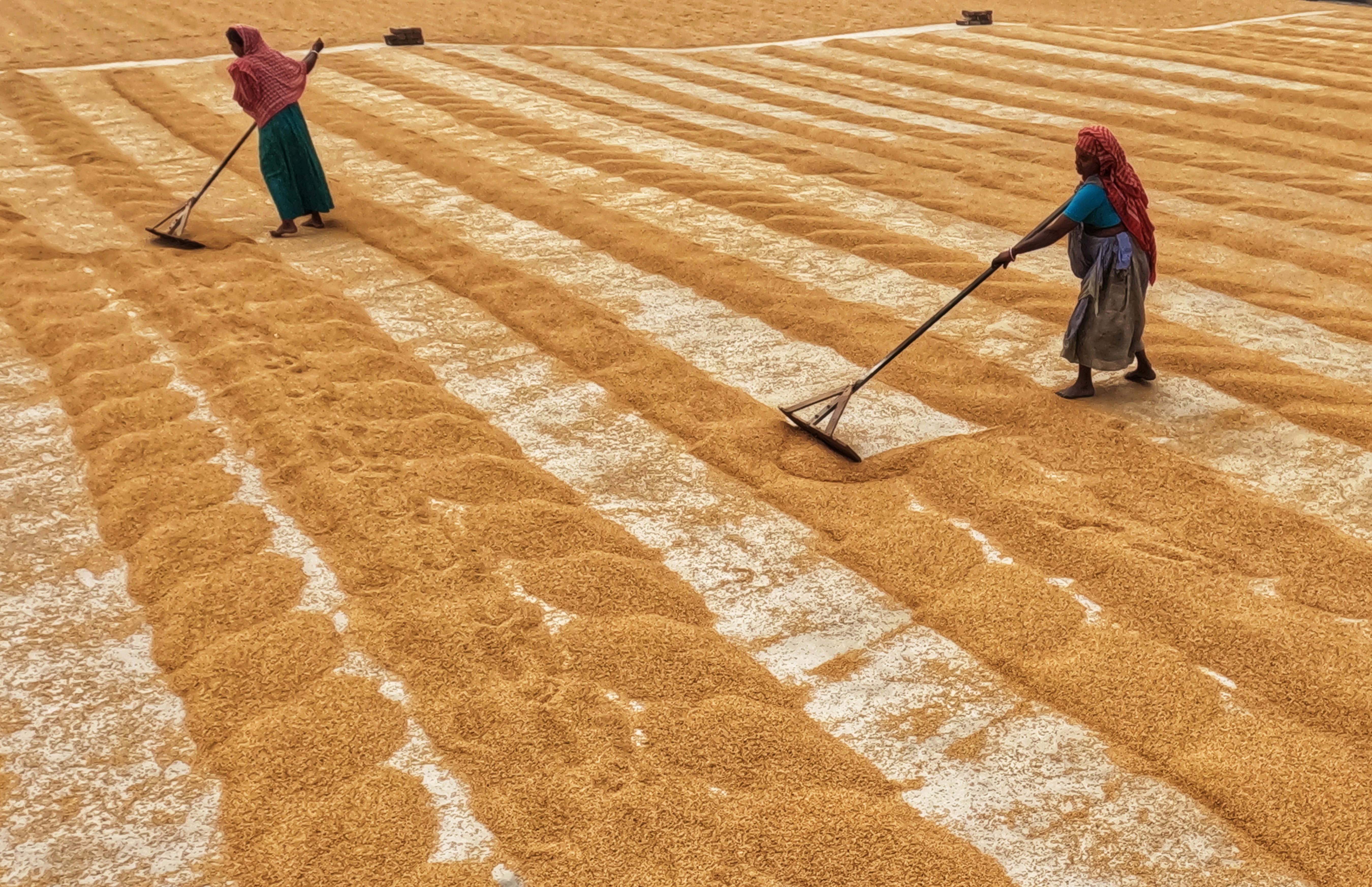 Photo by dibakar16roy