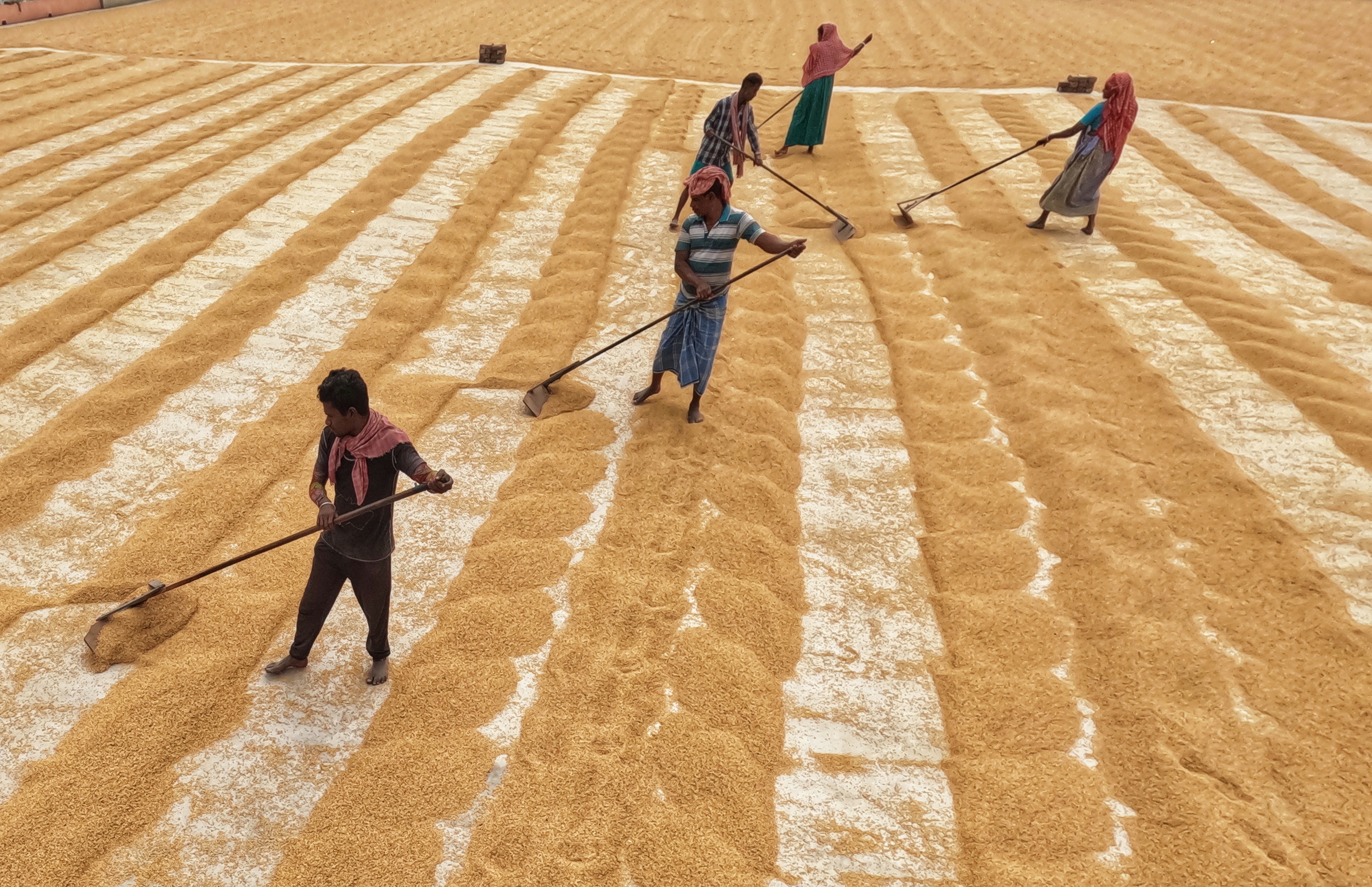 Photo by dibakar16roy