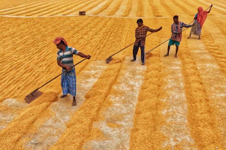 A group of people standing on top of a field