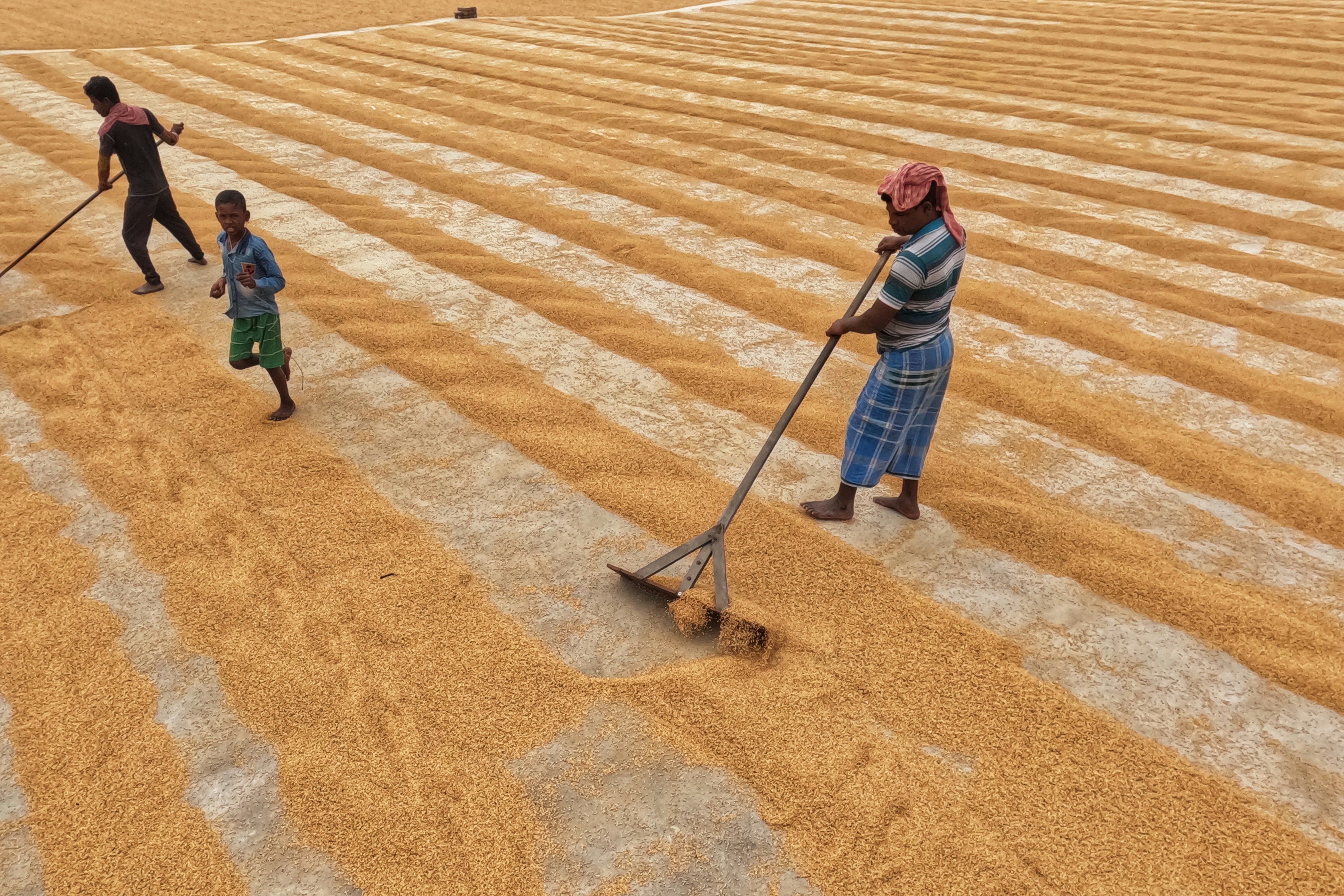 Photo by dibakar16roy